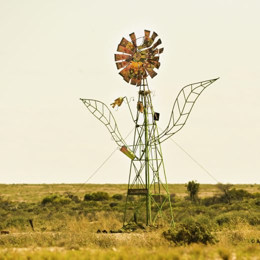 Launching Soon: AgriPix