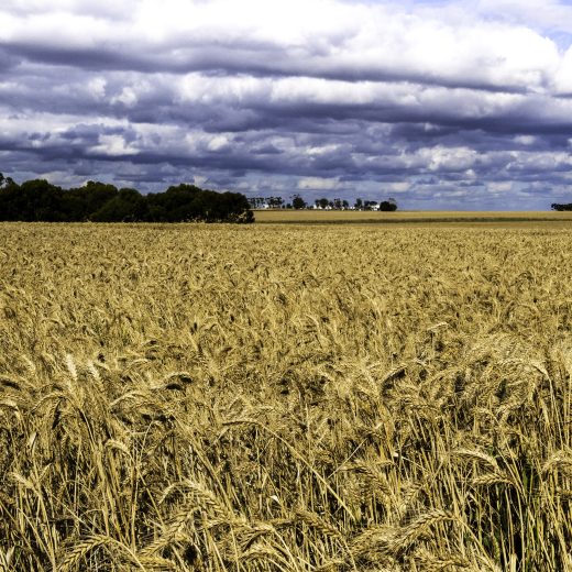 Cooee! Rural Aussie photographers & videographers!