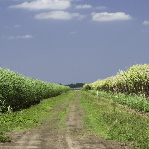 Why I’m launching a new stock image library in the AI era