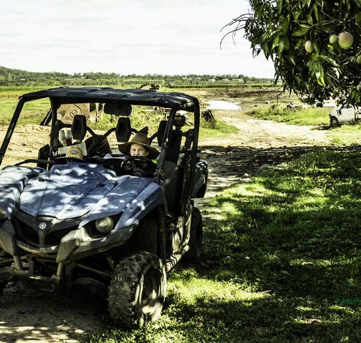 Australian Agriculture: Growth, Challenges, and the Power of Great Imagery