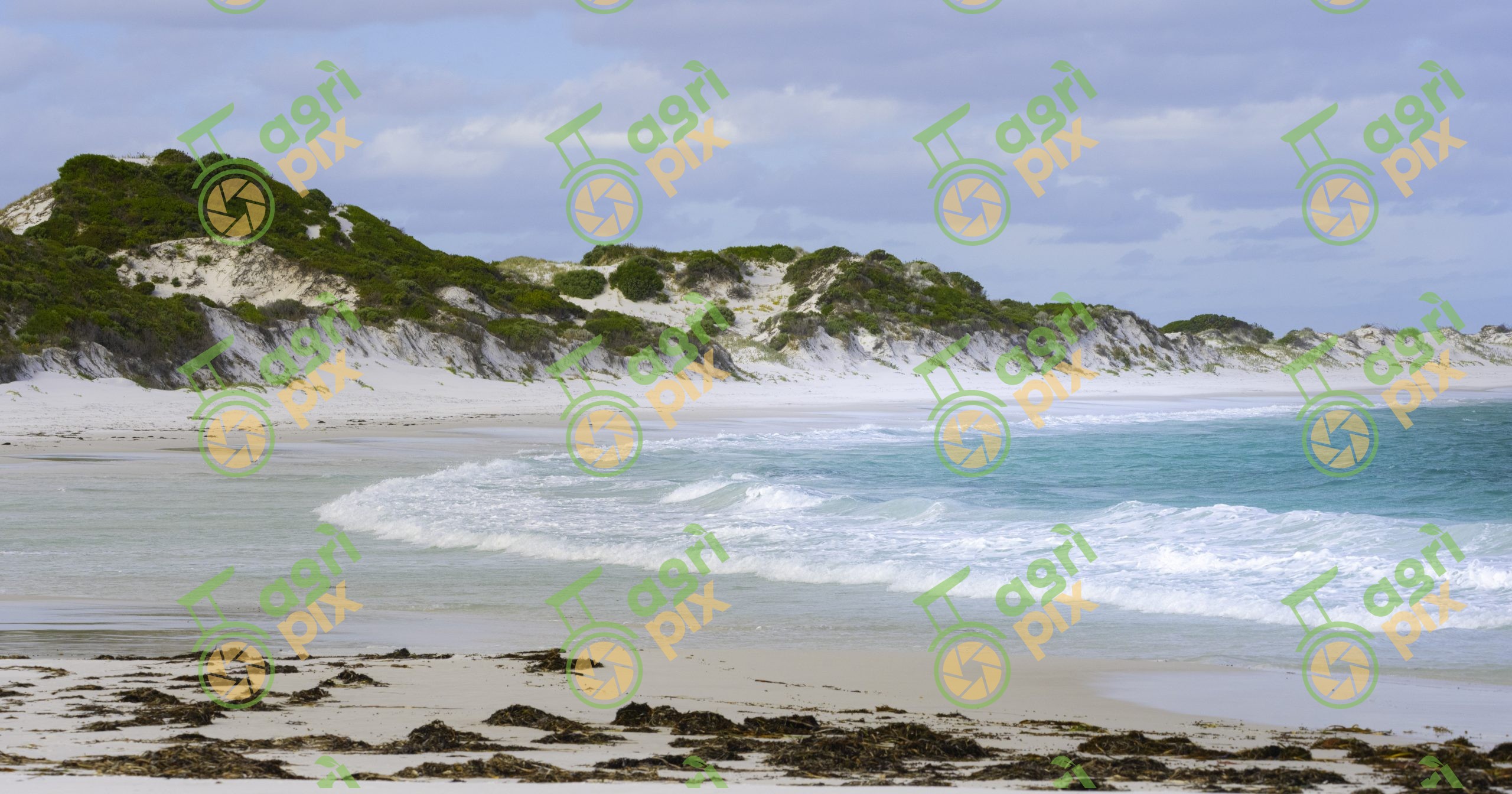 Seal Creek Beach