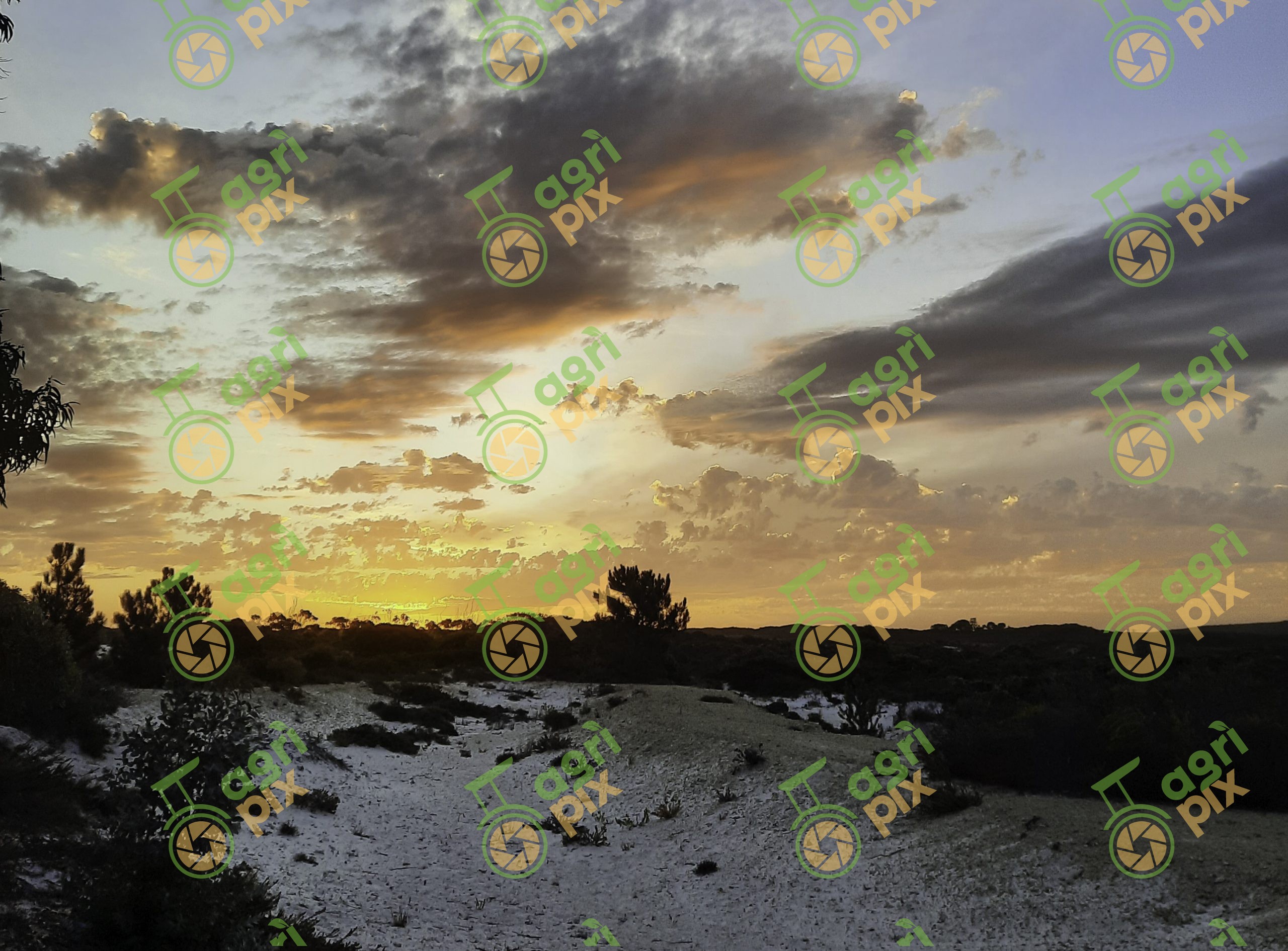 Duke of Orleans Bay Sunset