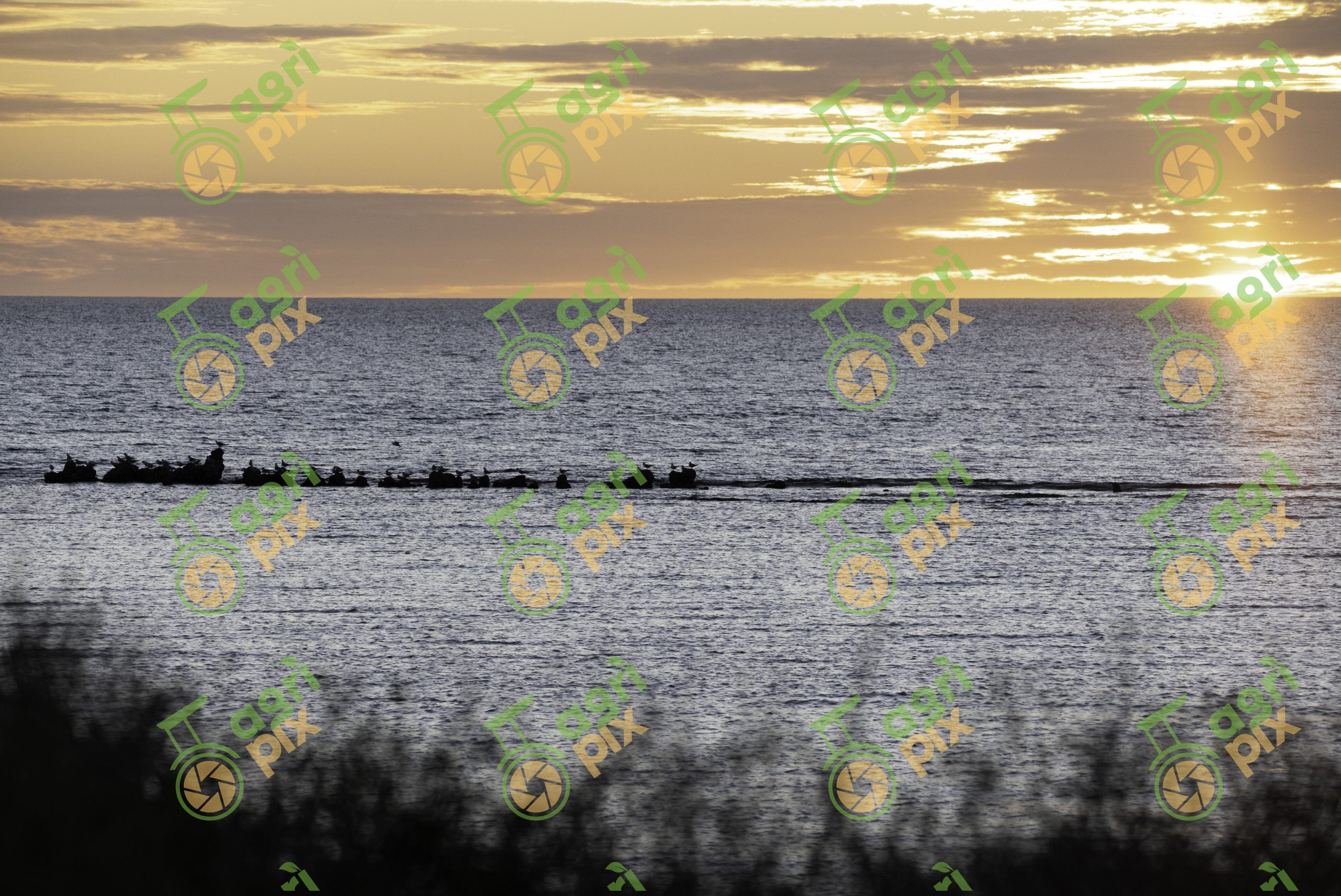 Sunset over a bay in WA