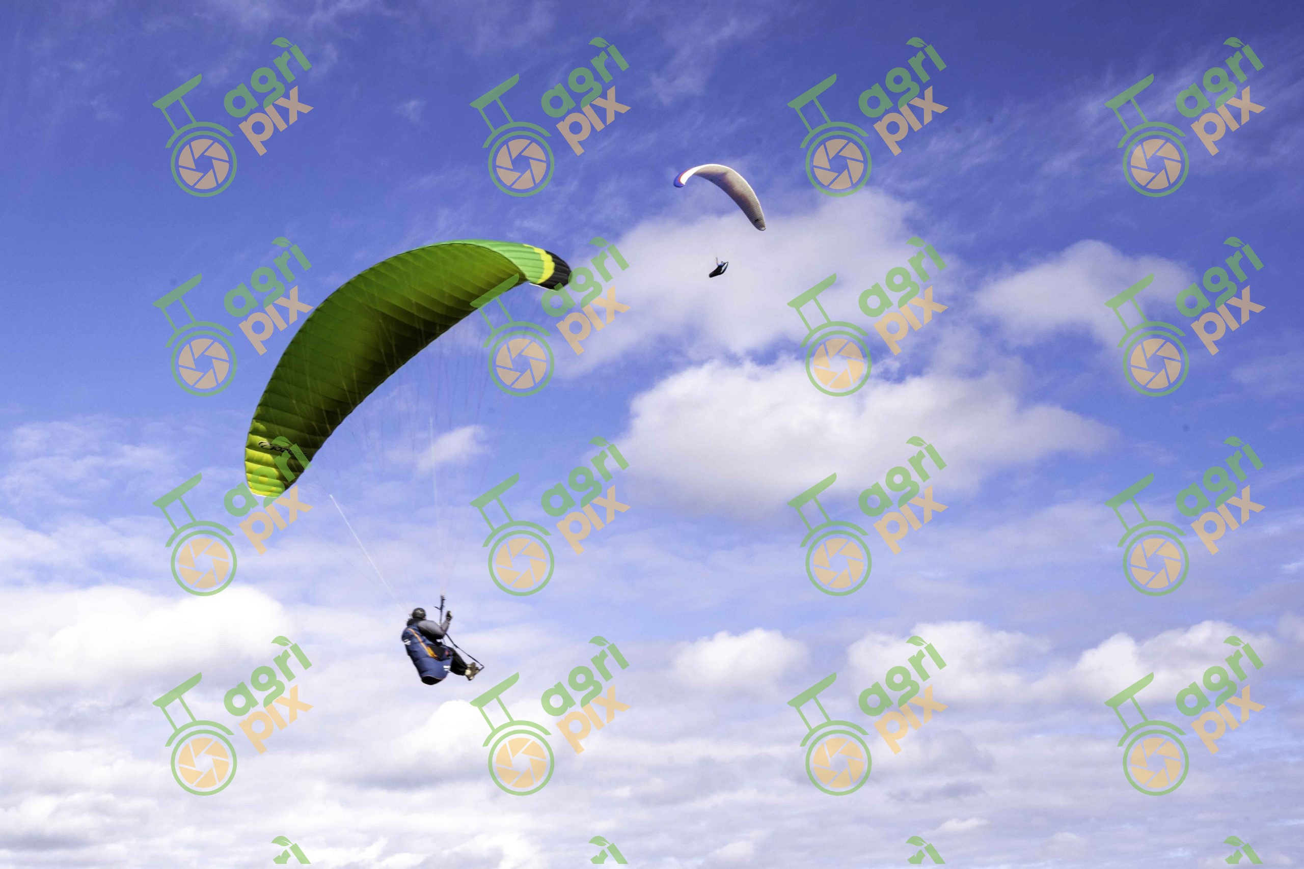 Paragliders