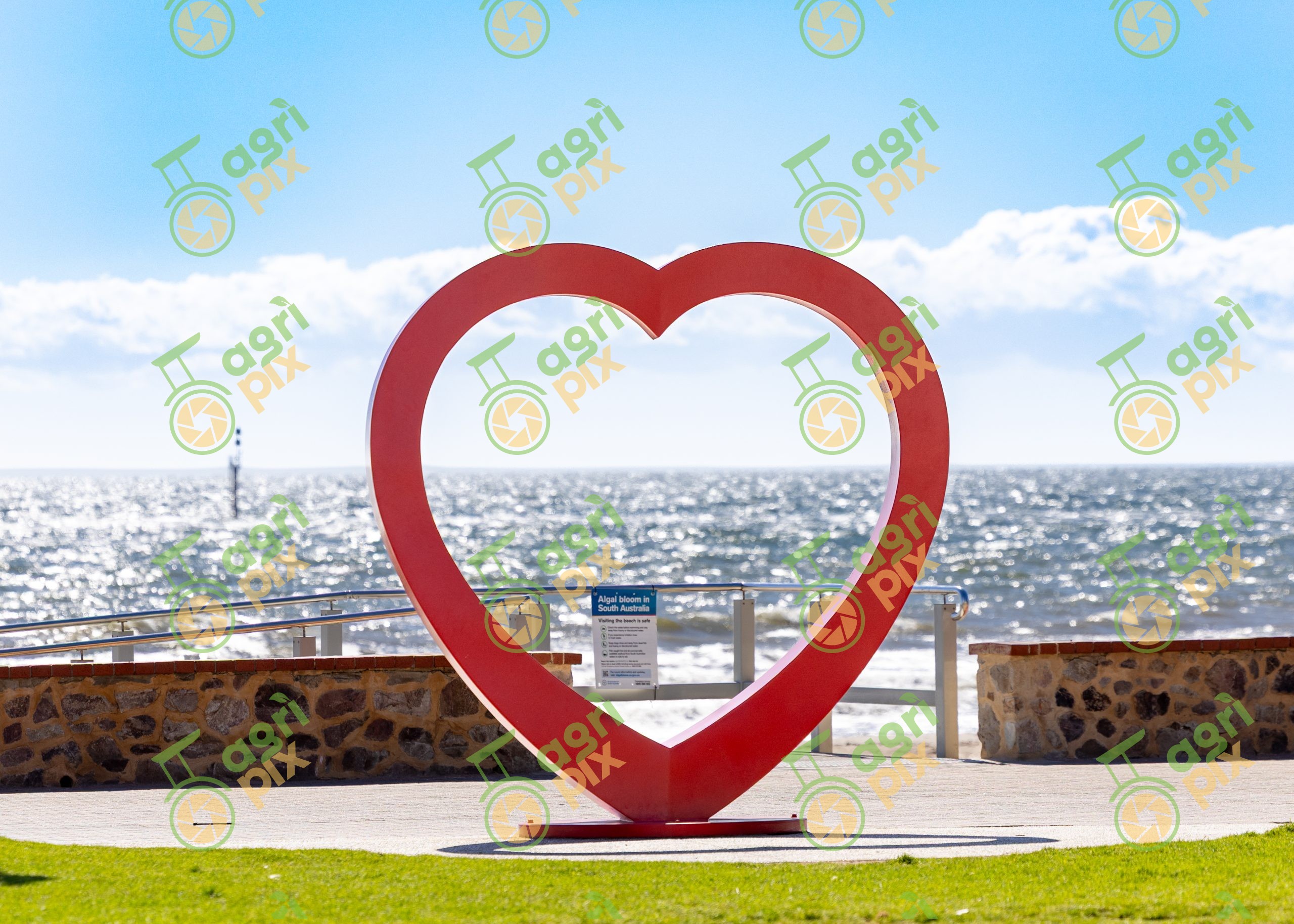 Glenelg Rhea Heart sculpture framing an algal bloom sign