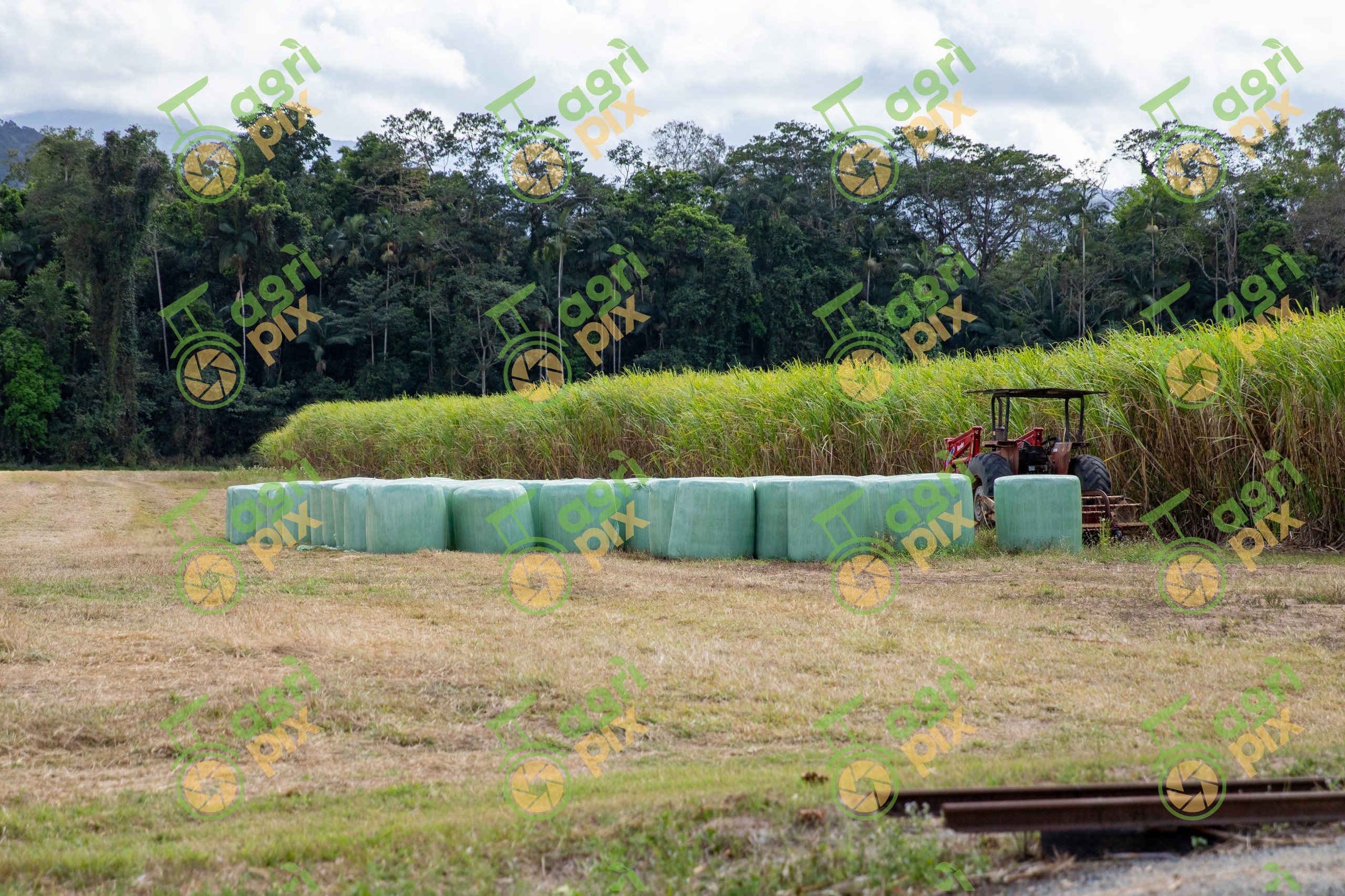 Wrapped silage/haylage bales with tractor – forage crop field