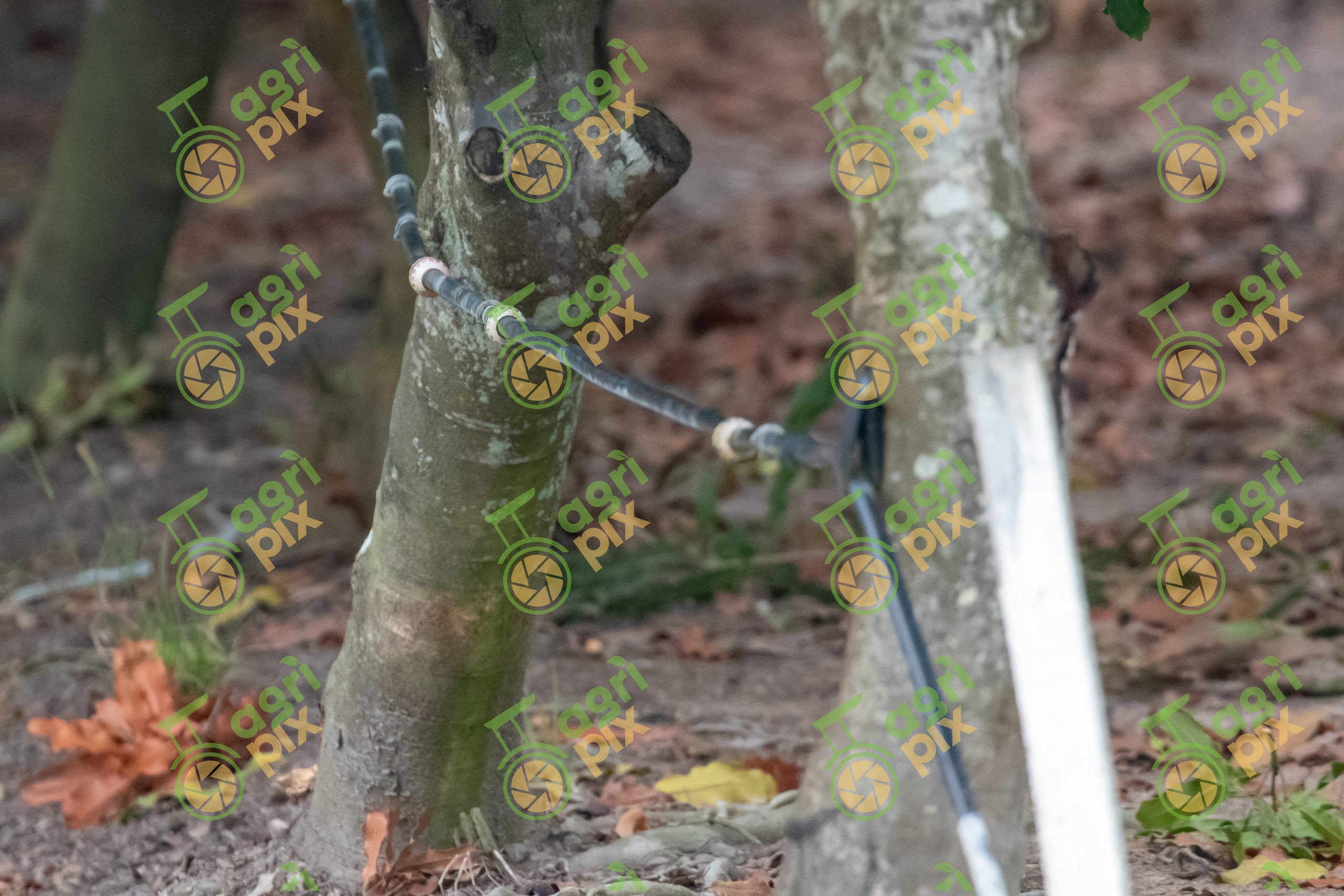 A Micro-irrigation system