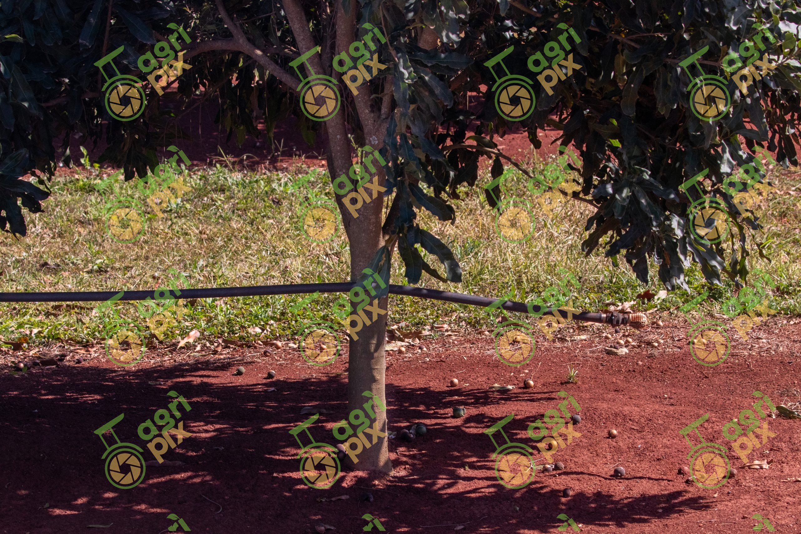A Micro-irrigation system