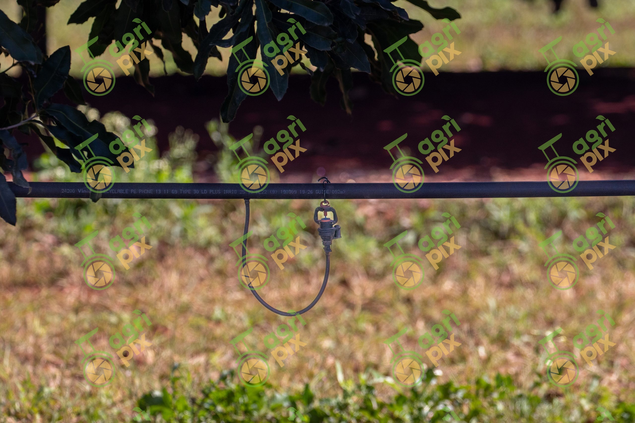 A Micro-irrigation system