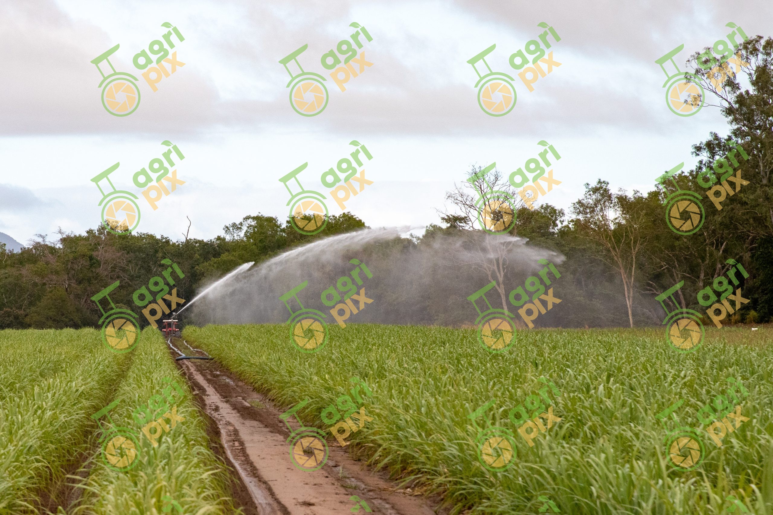 A mobile irrigation system