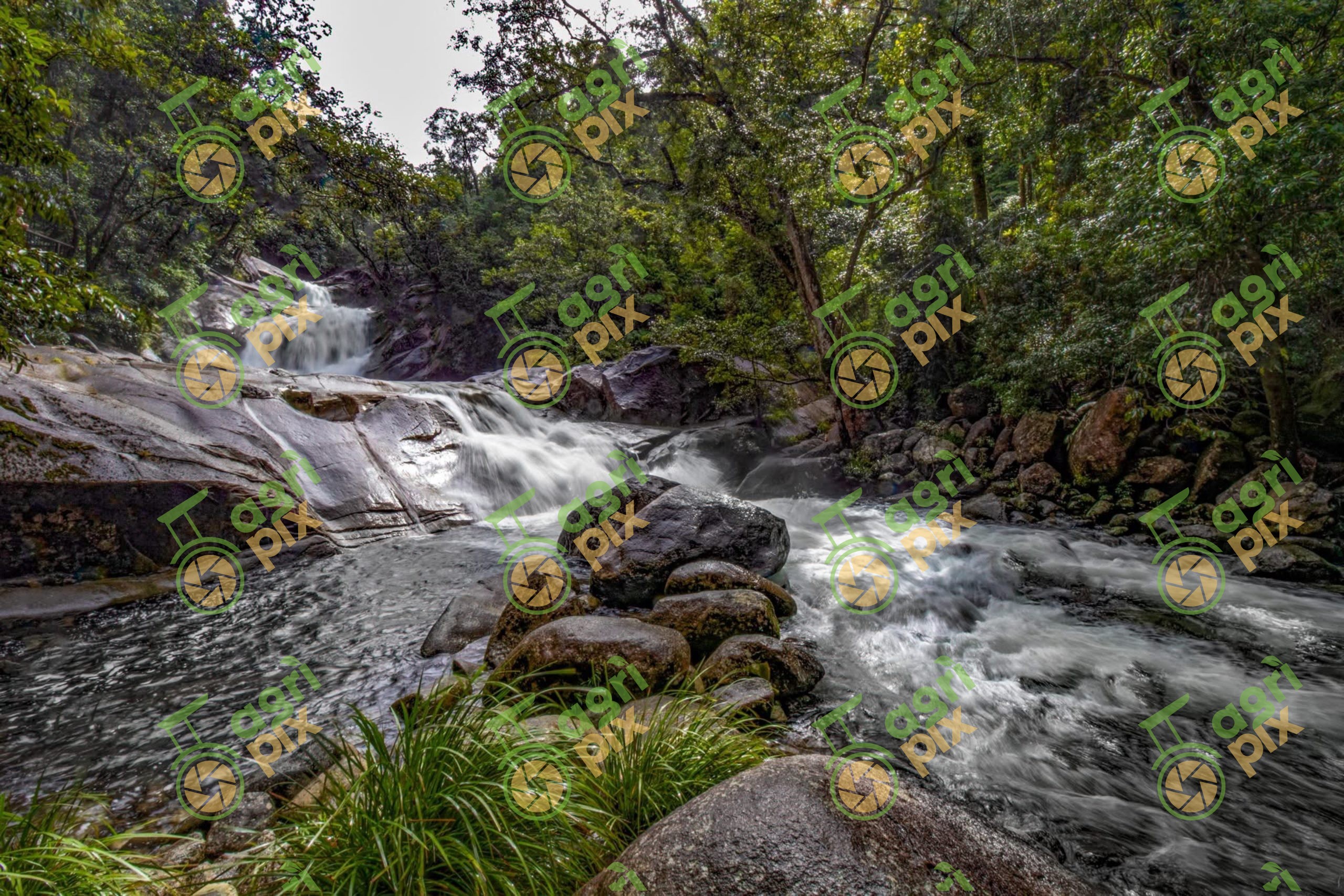 A Waterfall Cascading Through Tropical Rainforest