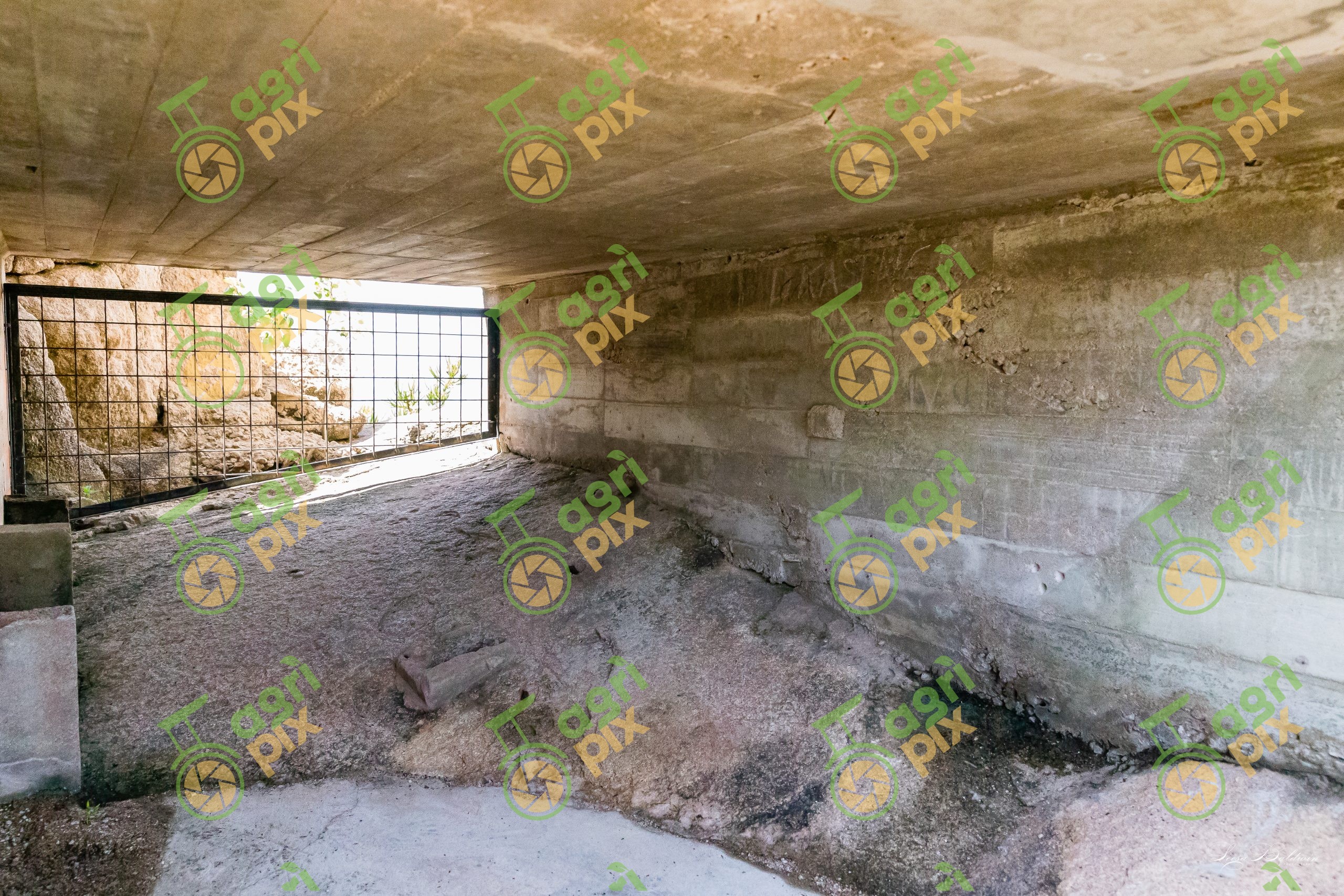 WWII Coastal Defence Ruins