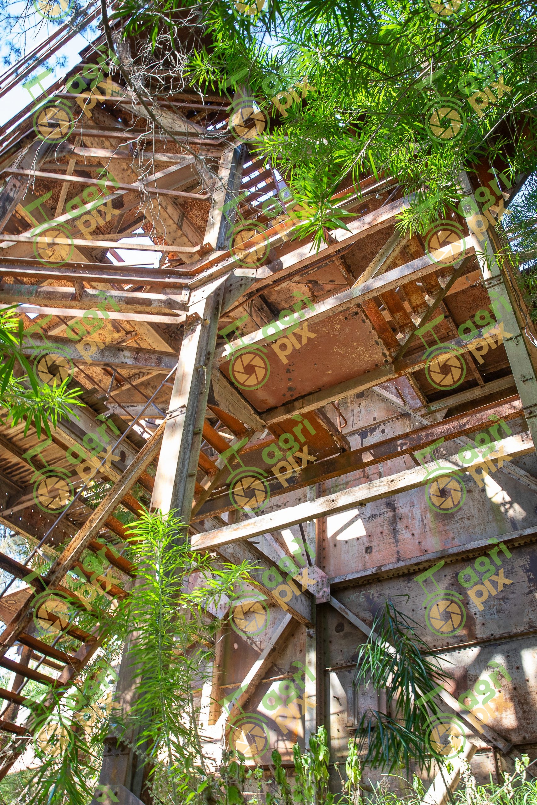 Nettle Creek Tin Dredge Heritage Site