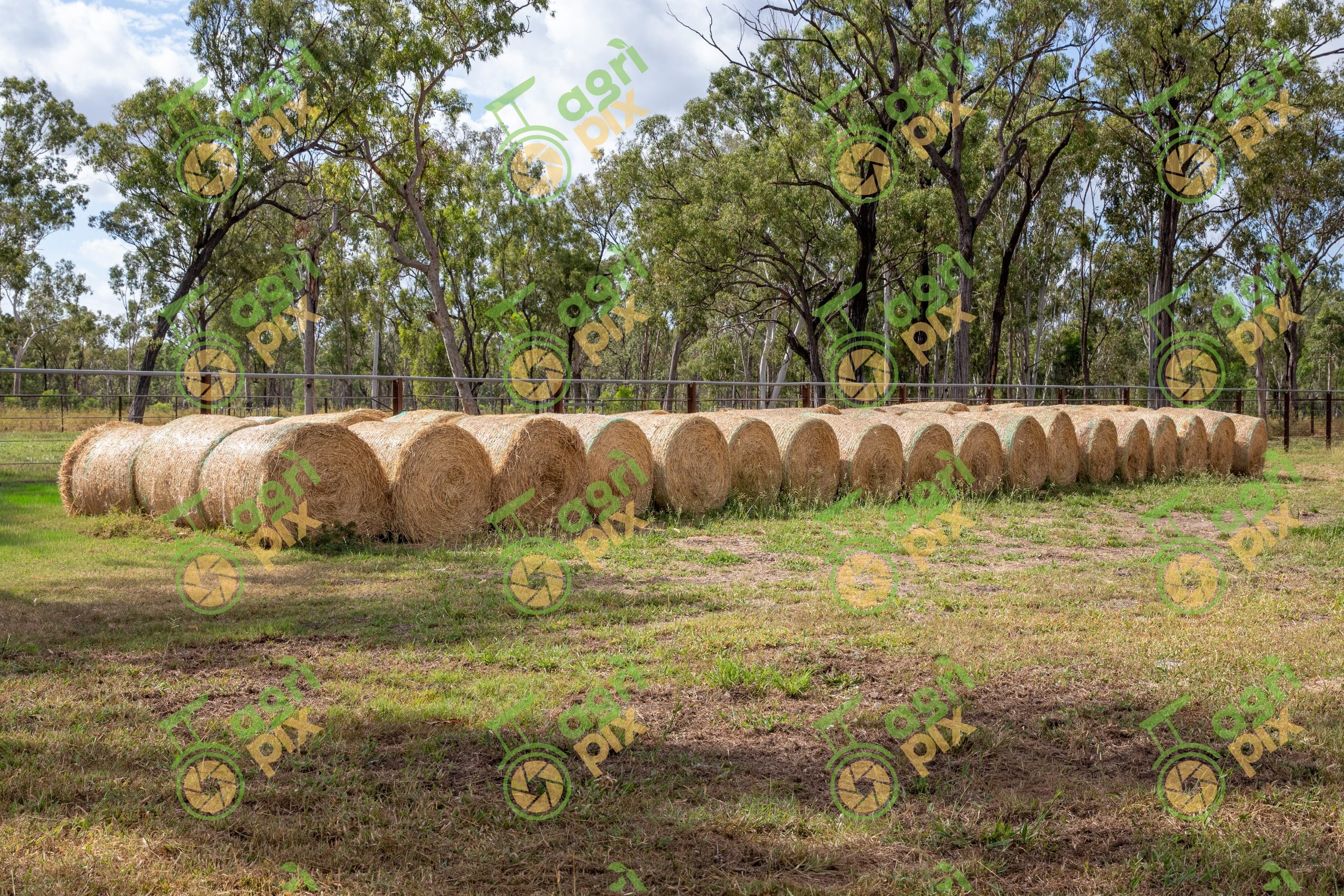 Round Hay Bales