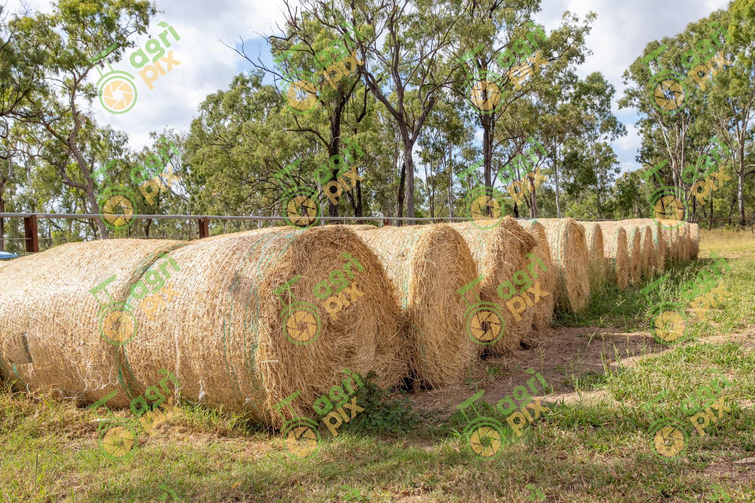 Round Hay Bales