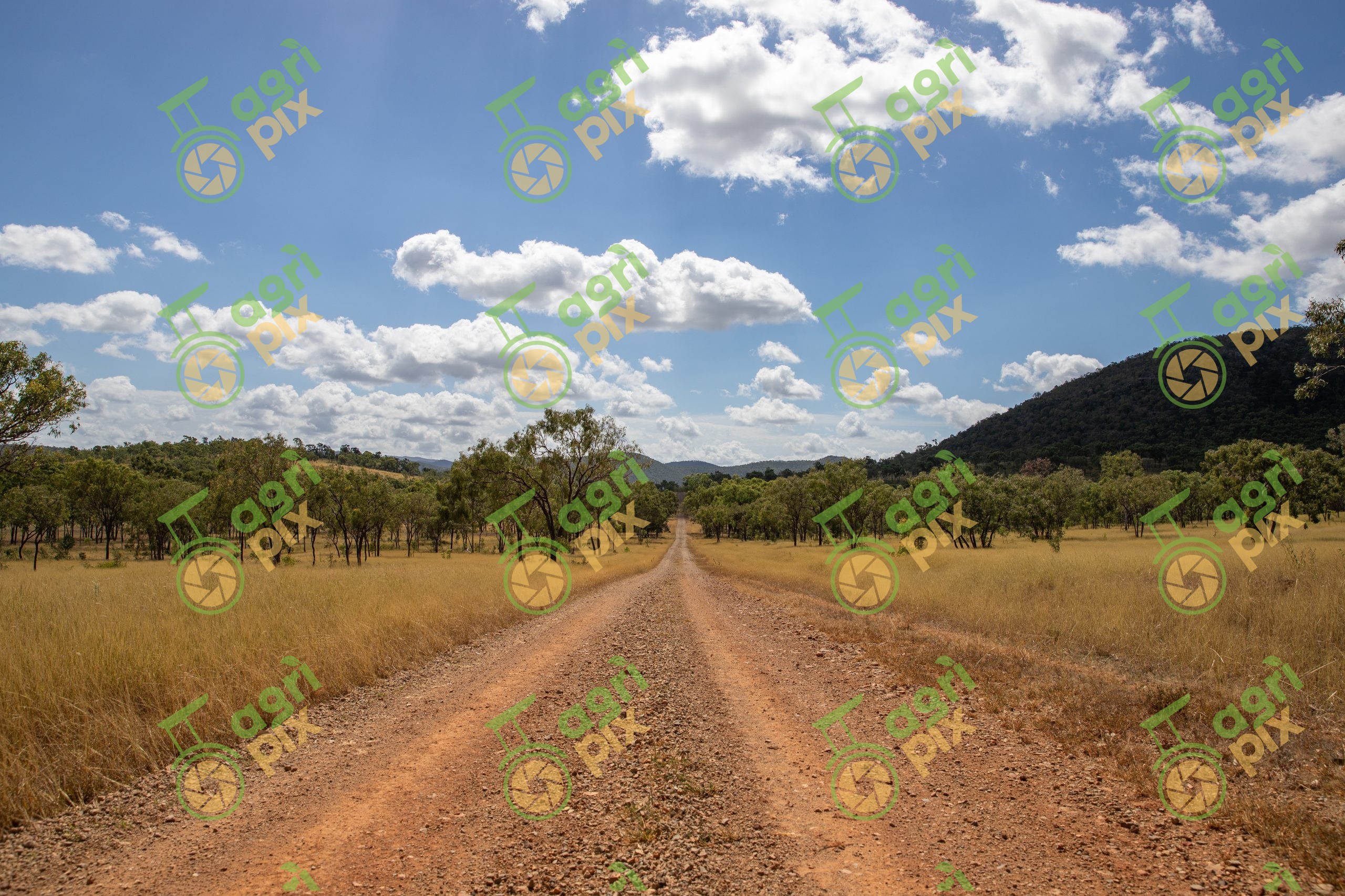 Rural Dirt Road with Mountains in the Distance