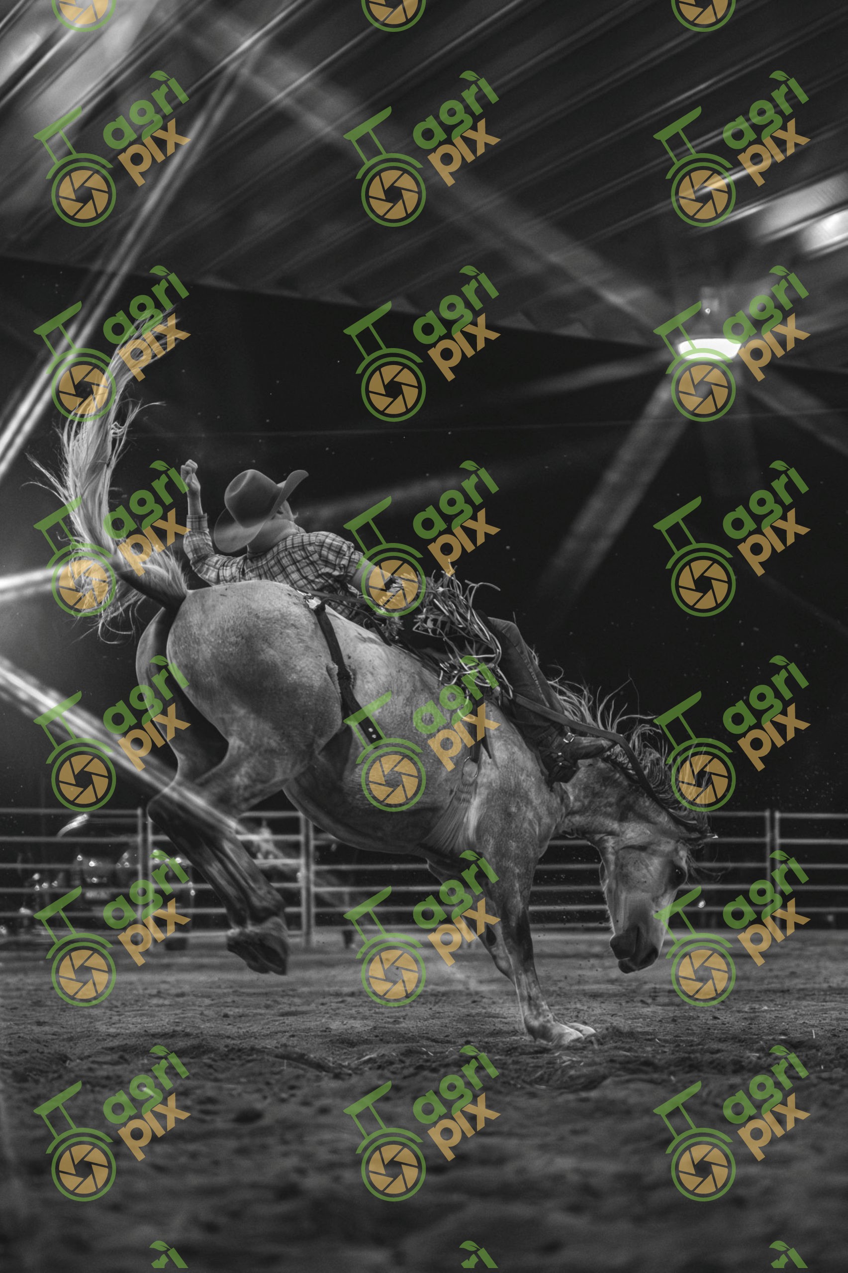 bronc rider 1