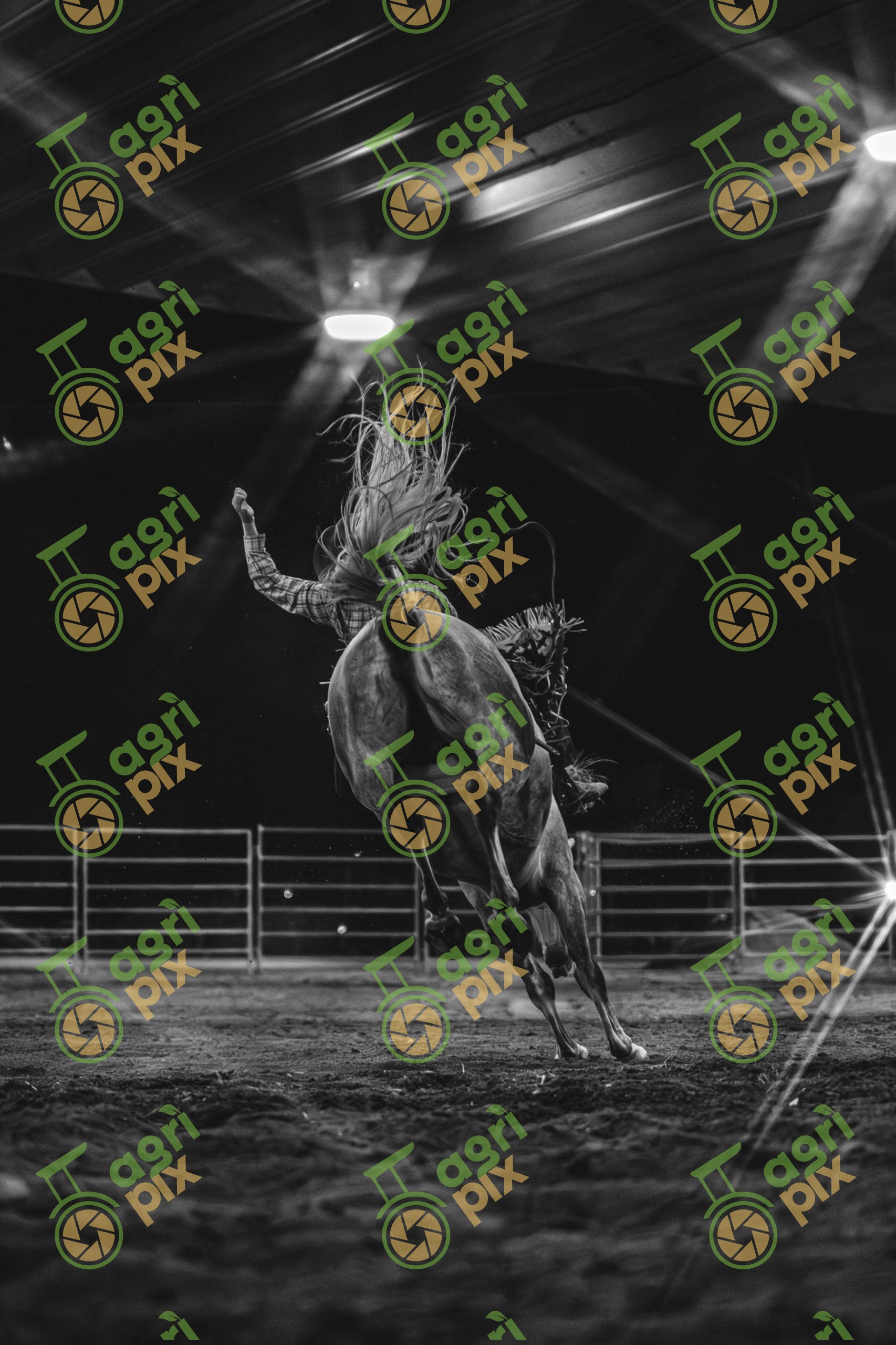 bronc rider