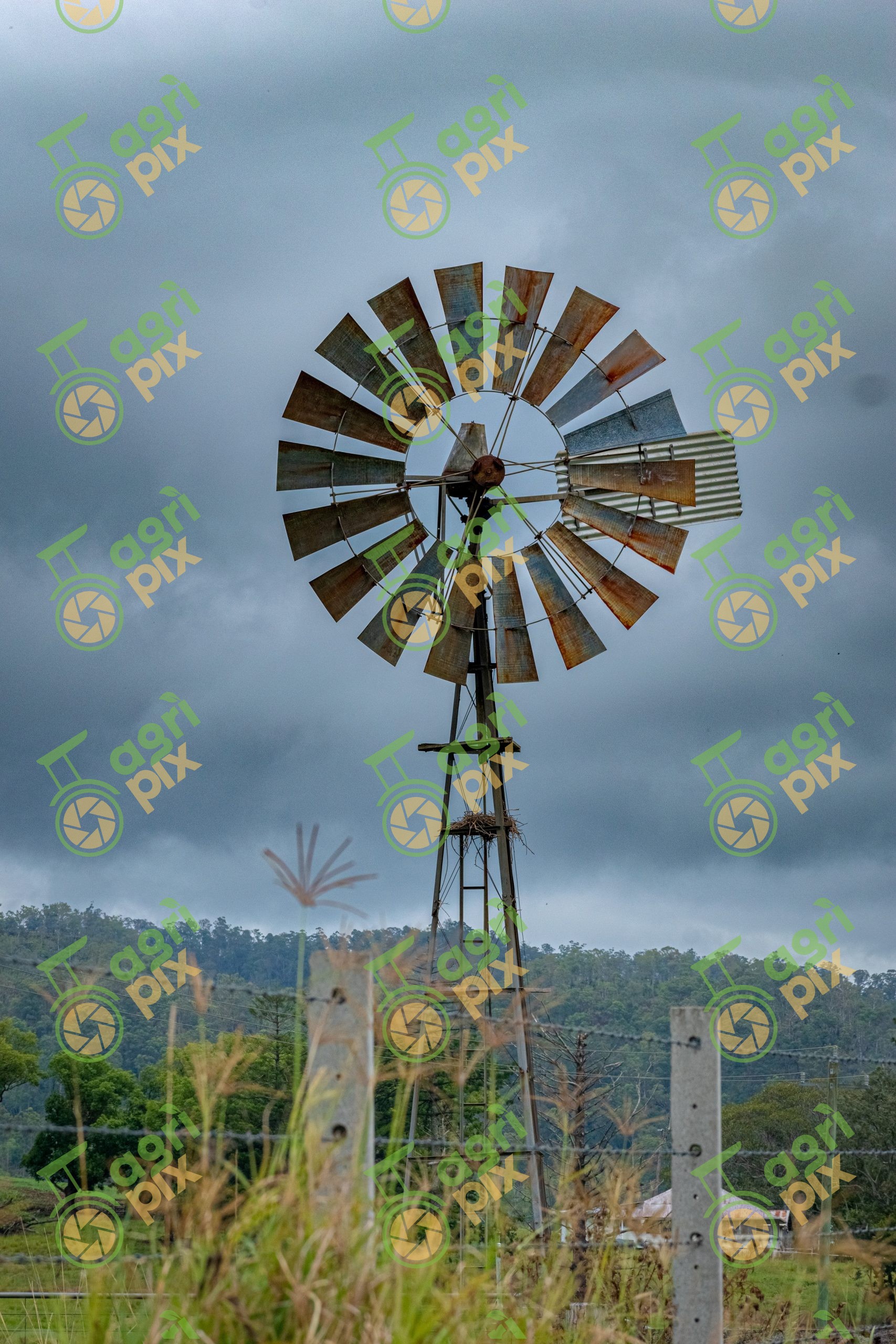 windmill in farm paddock