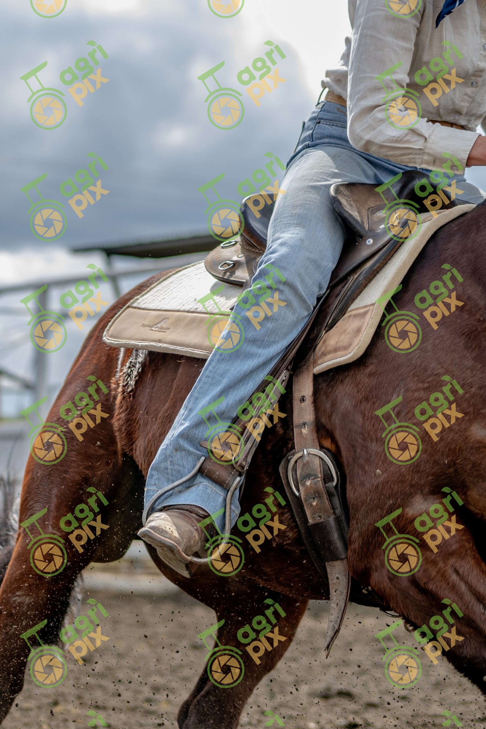 detailed close up of female horse rider