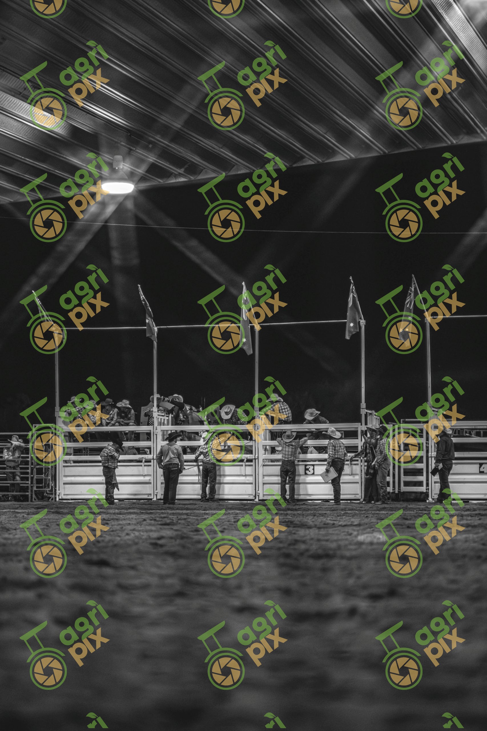 Rodeo Gates B&W