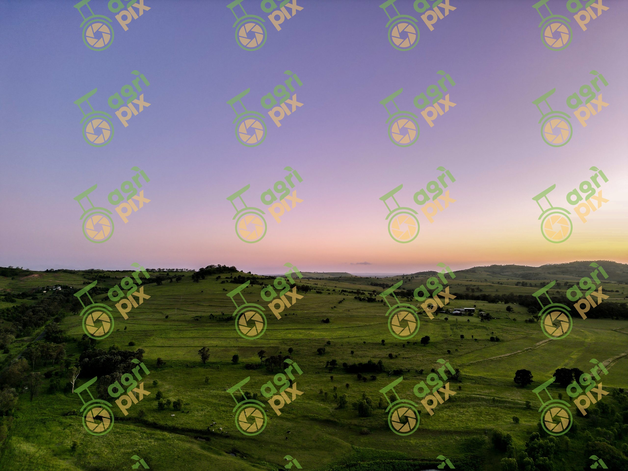 hilly landscape view