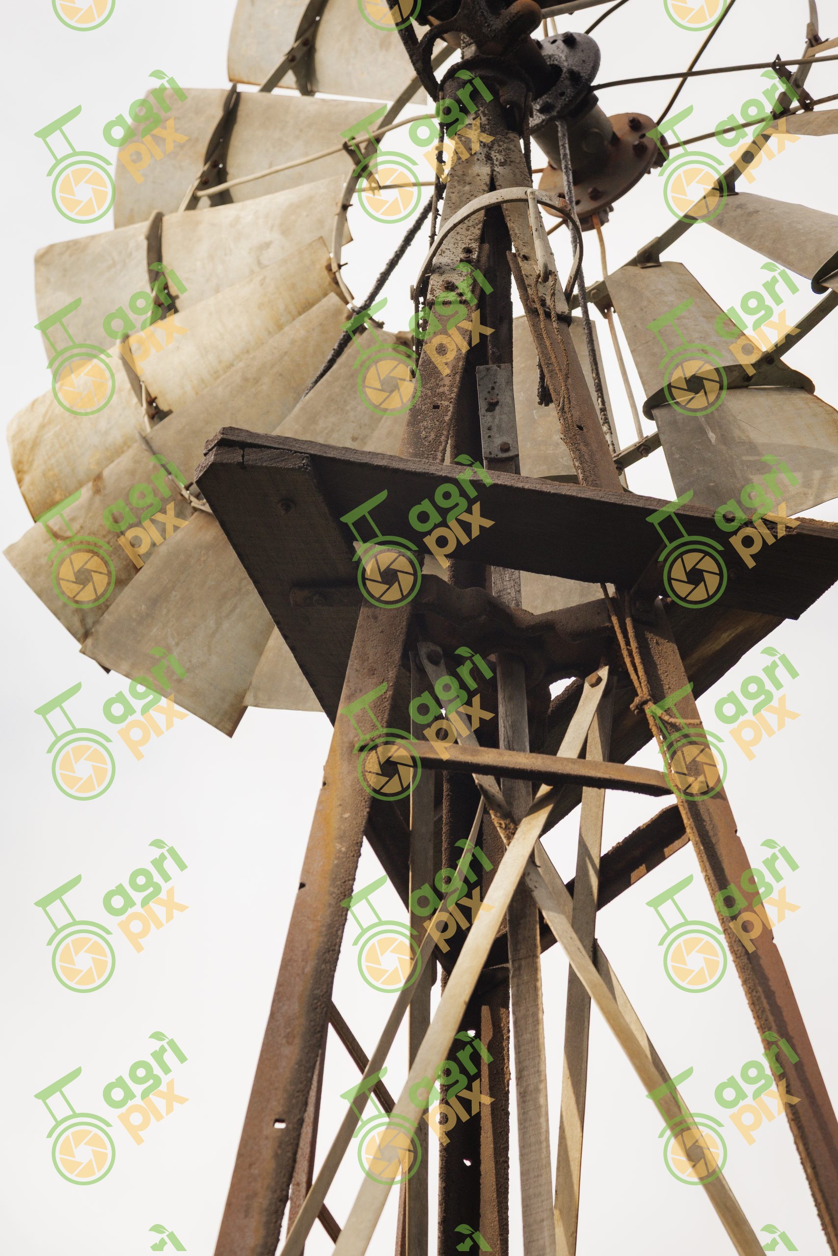 Rustic Southern Cross Windmill