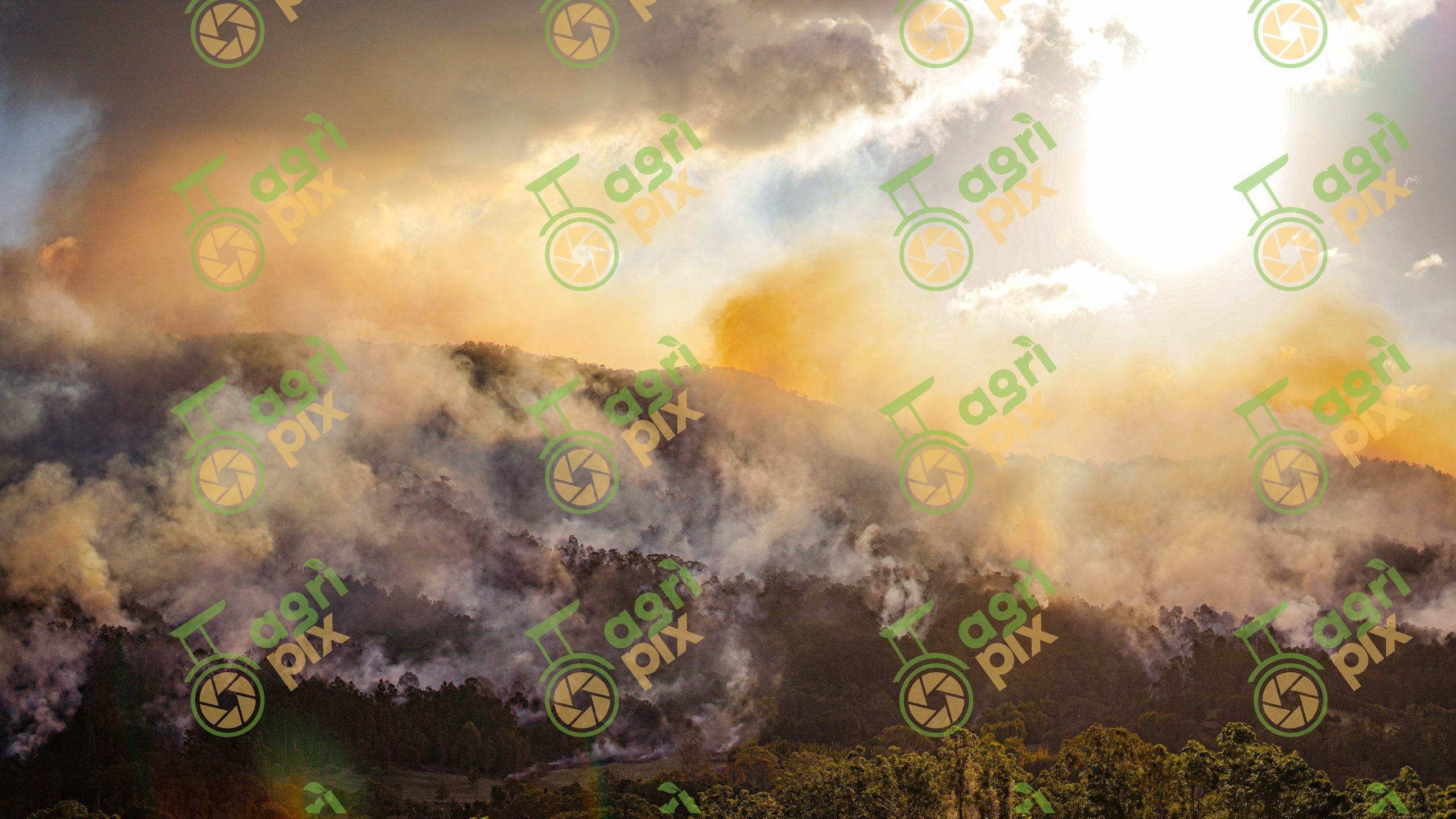 Mount Misery Burnoff