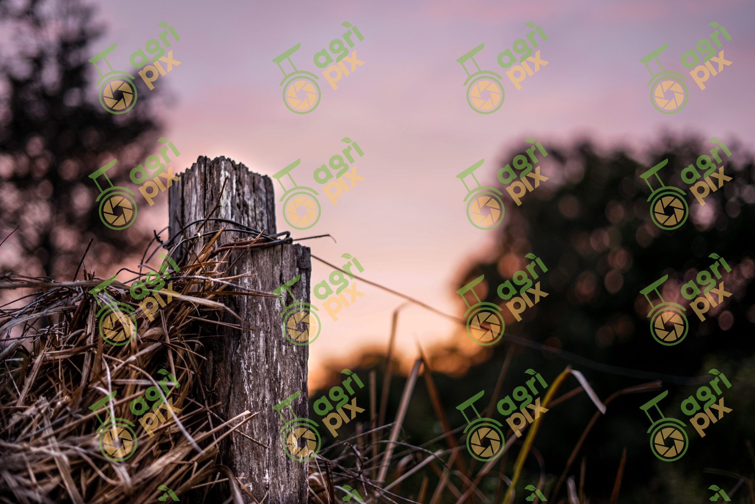 Old fence post at sunset