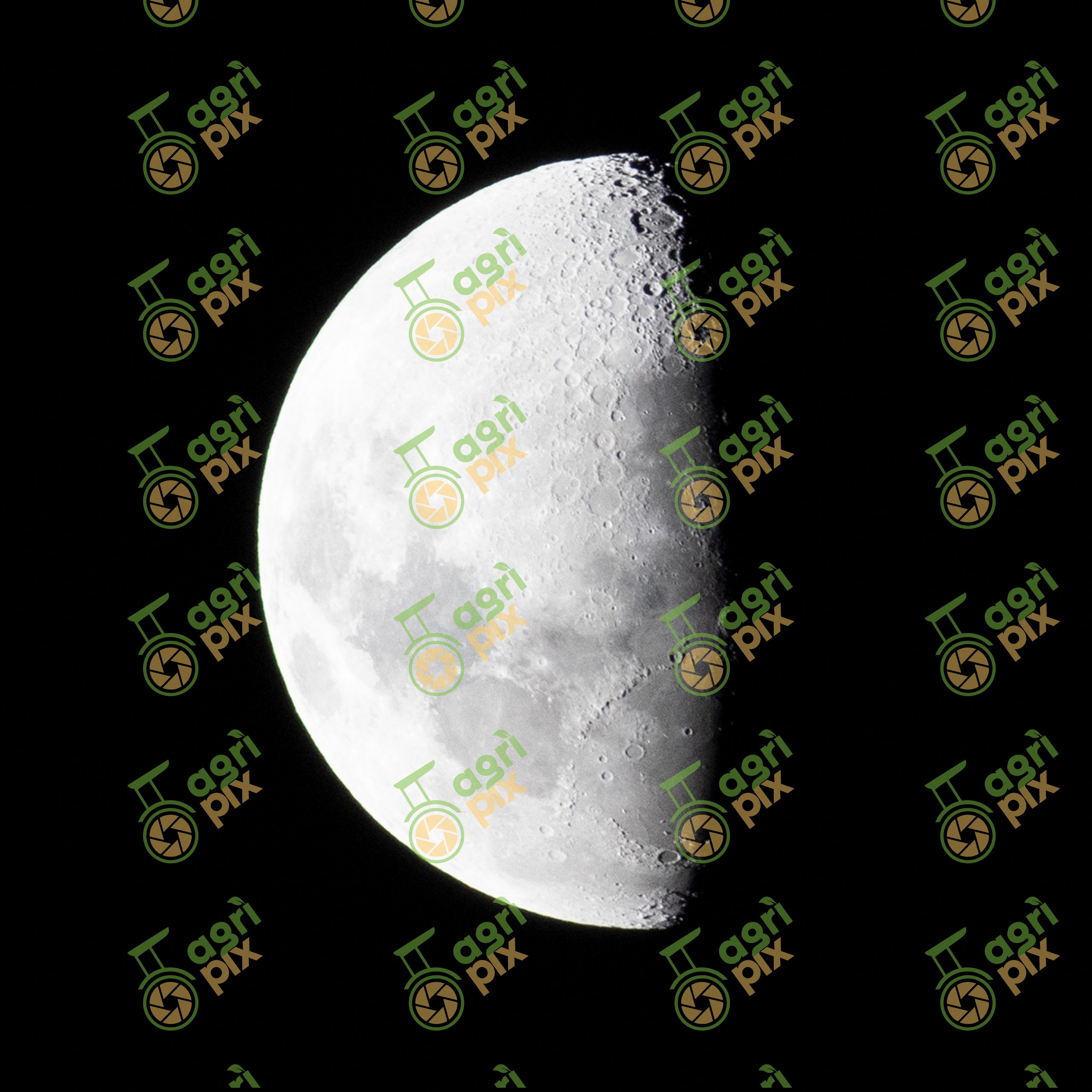 The moon