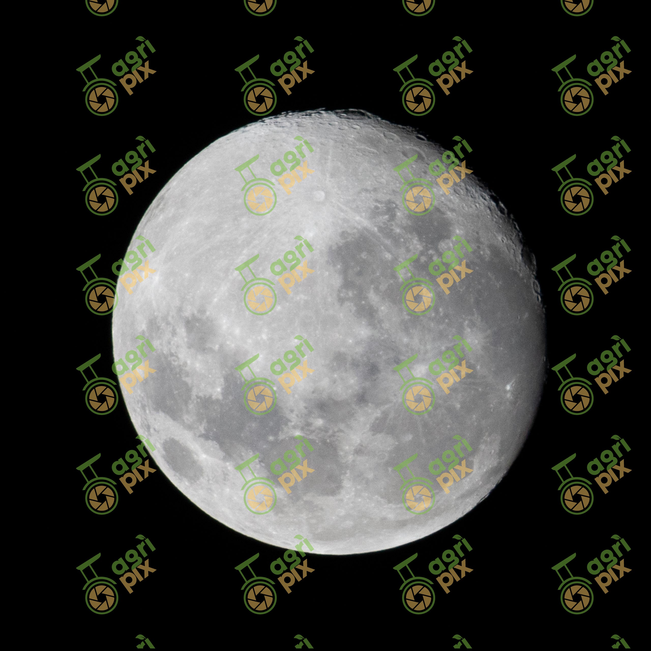 The moon
