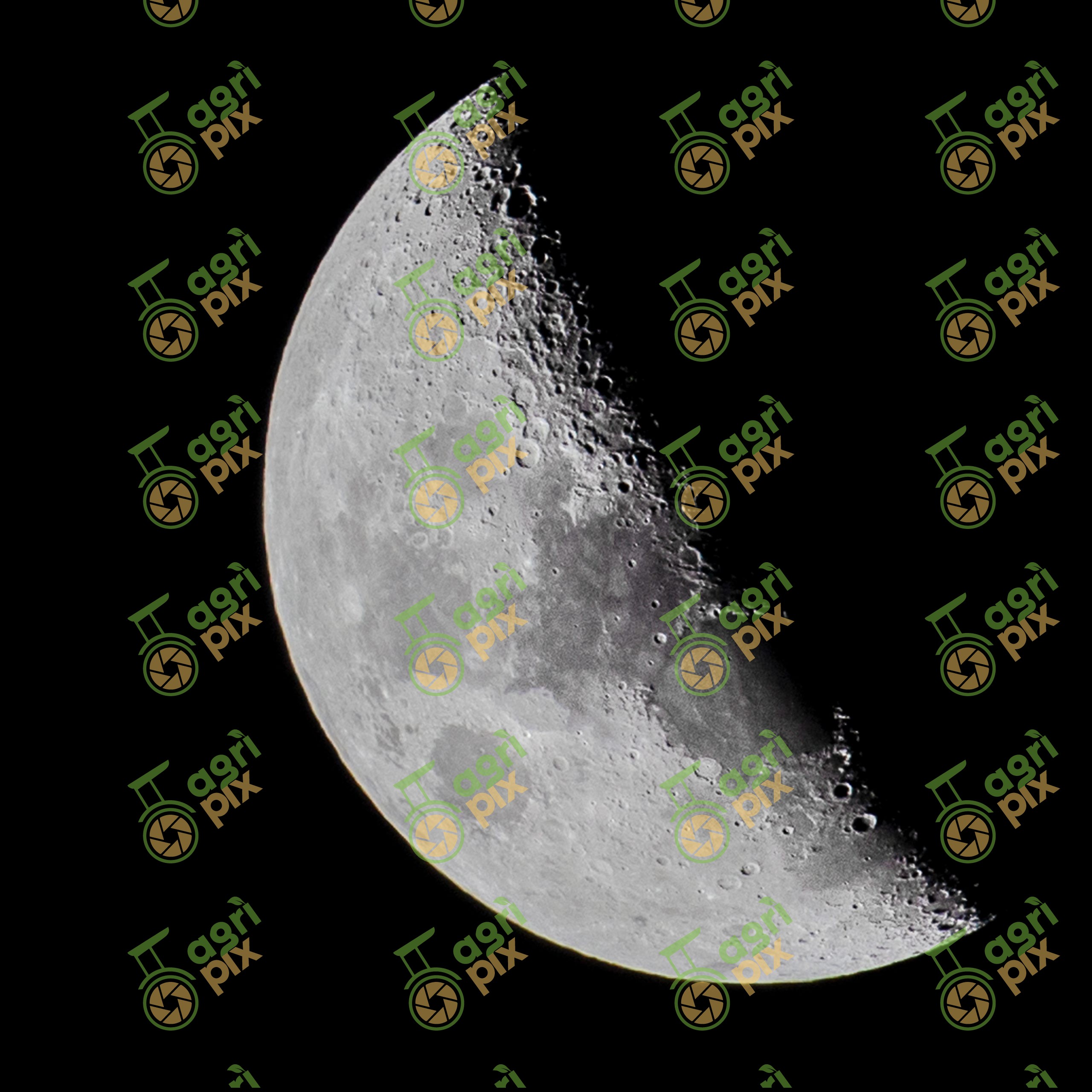 The half moon