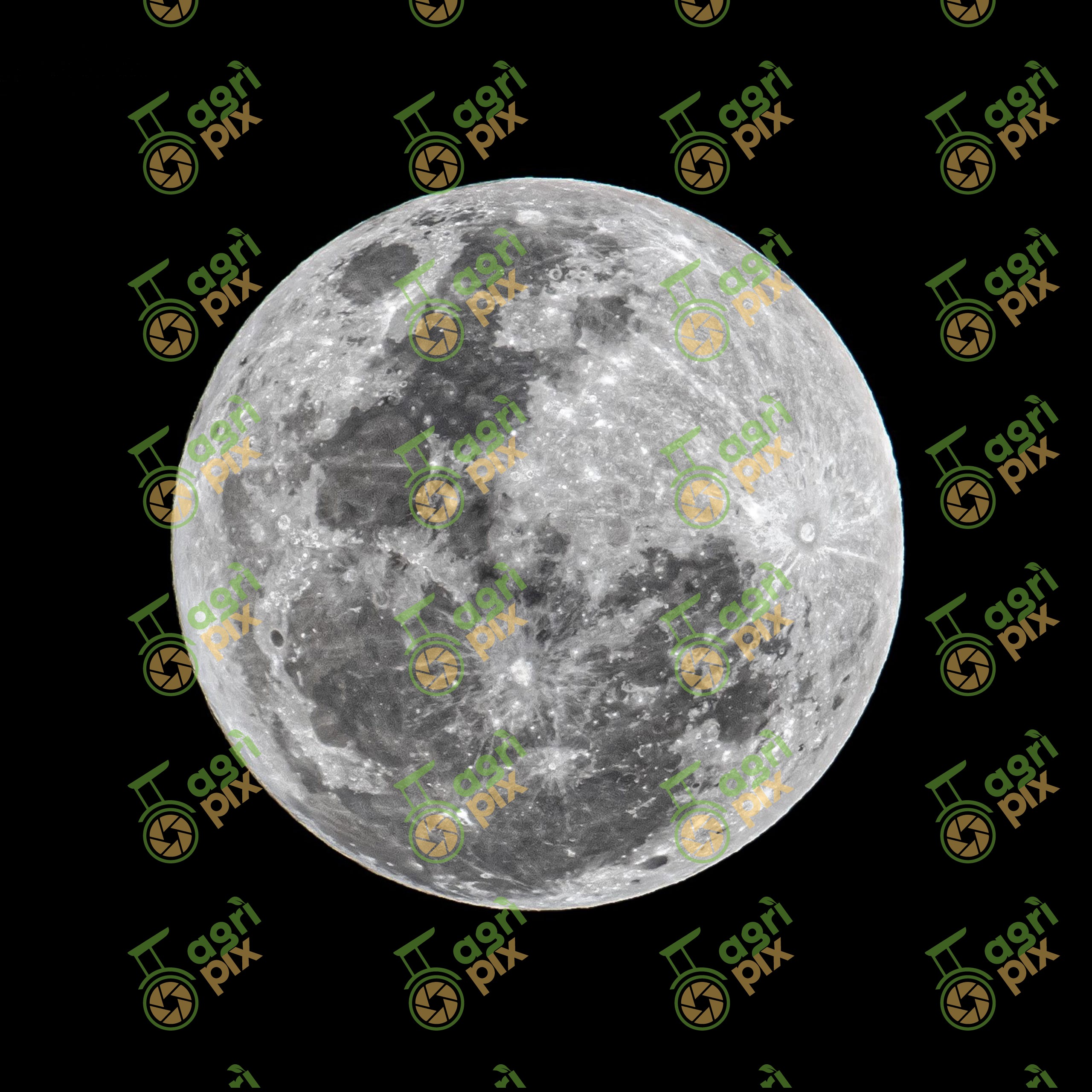 The full moon