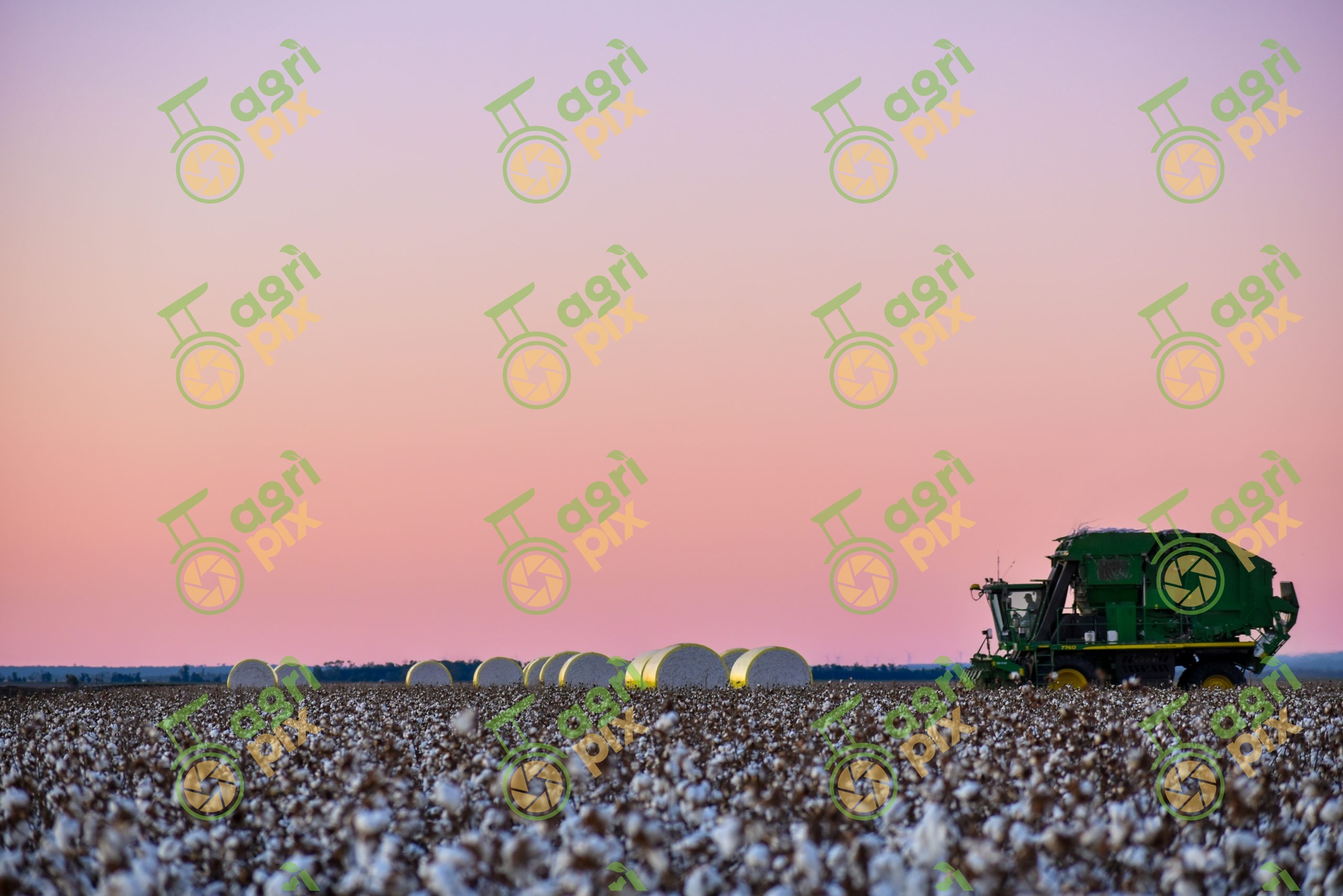 Commercial Cotton Harvest on the Darling Downs, Queensland