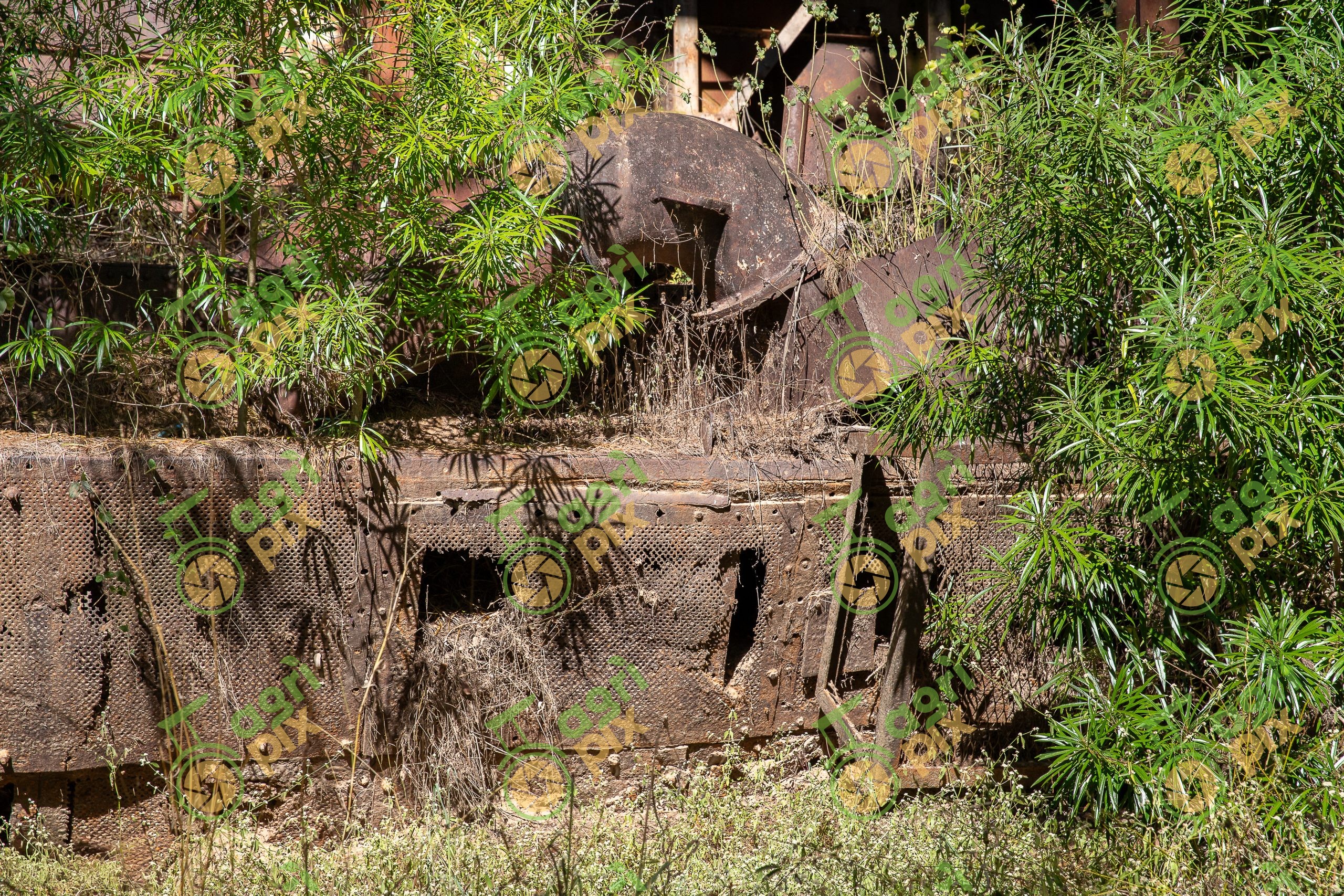 Nettle Creek Tin Dredge Heritage Site