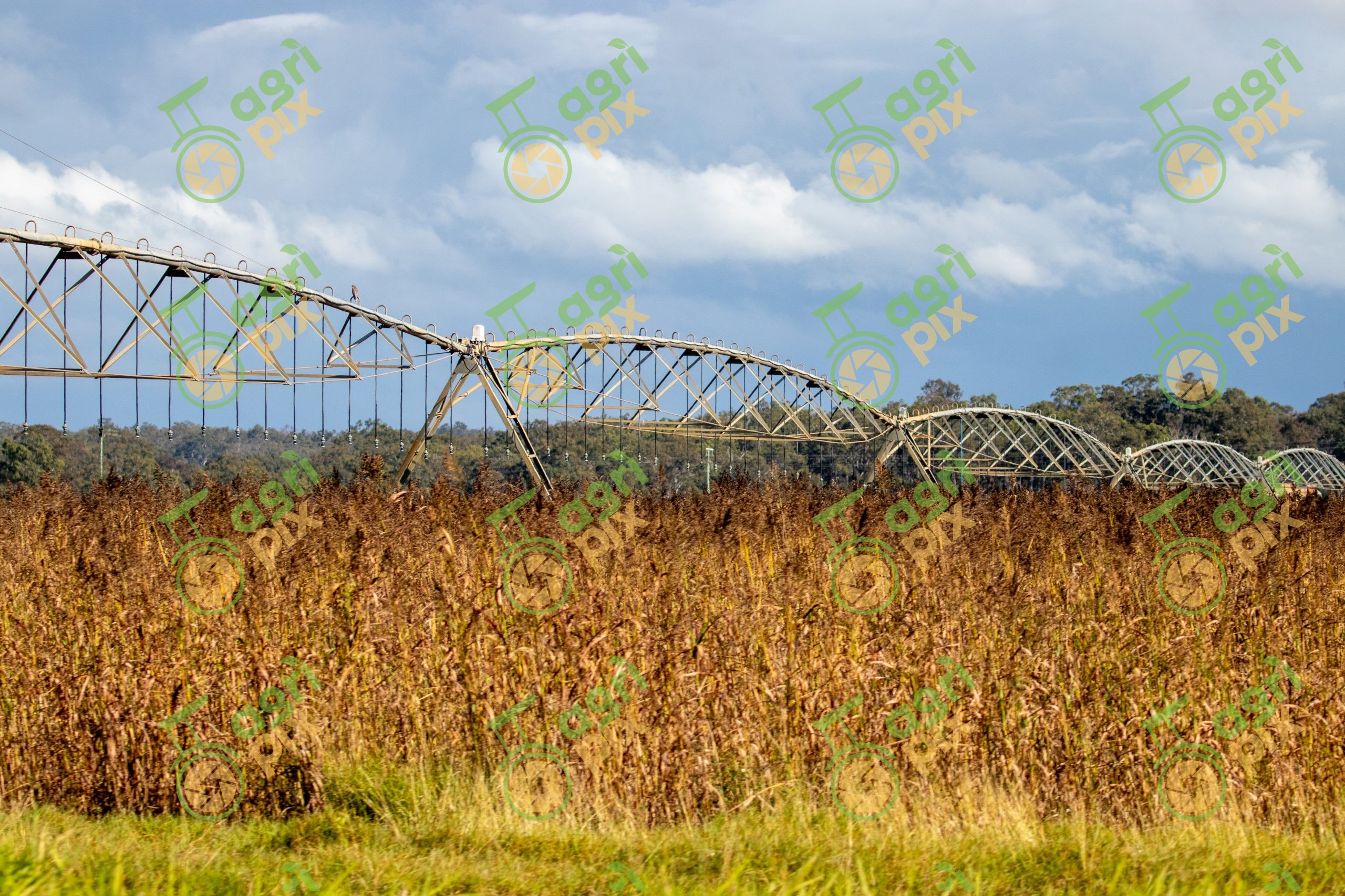 Centre Pivot Irrigation System on an Irrigated Cropping Property at Home Hill, Queensland