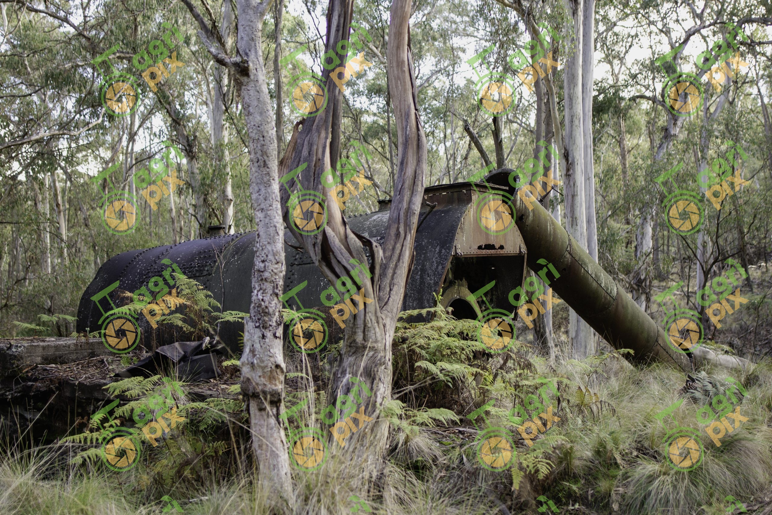 Historic Steam Boiler Ruins in Coolah Tops National Park, Hunter Valley NSW