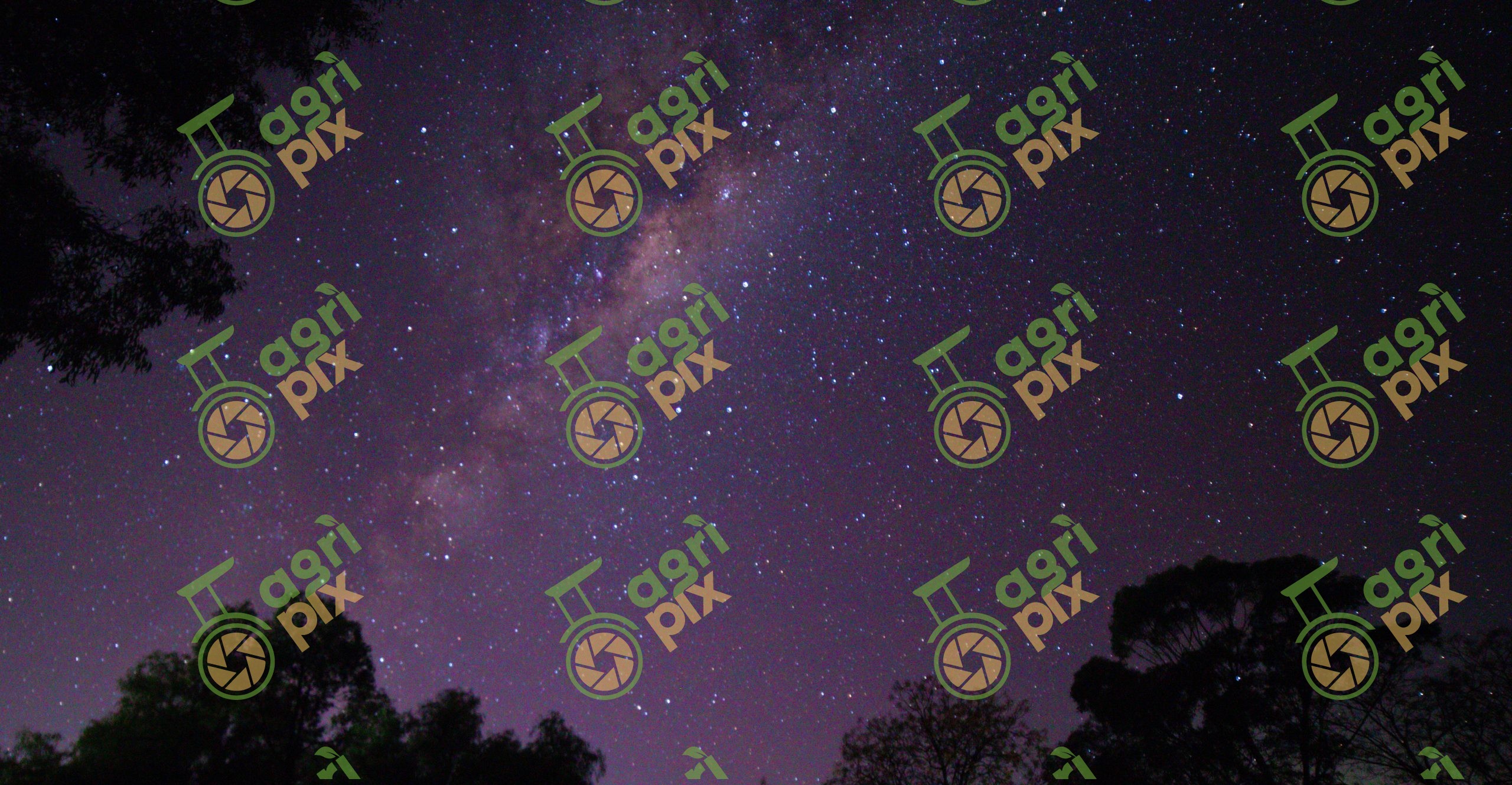 Milky Way Core Above the Hunter Valley Night Sky, New South Wales