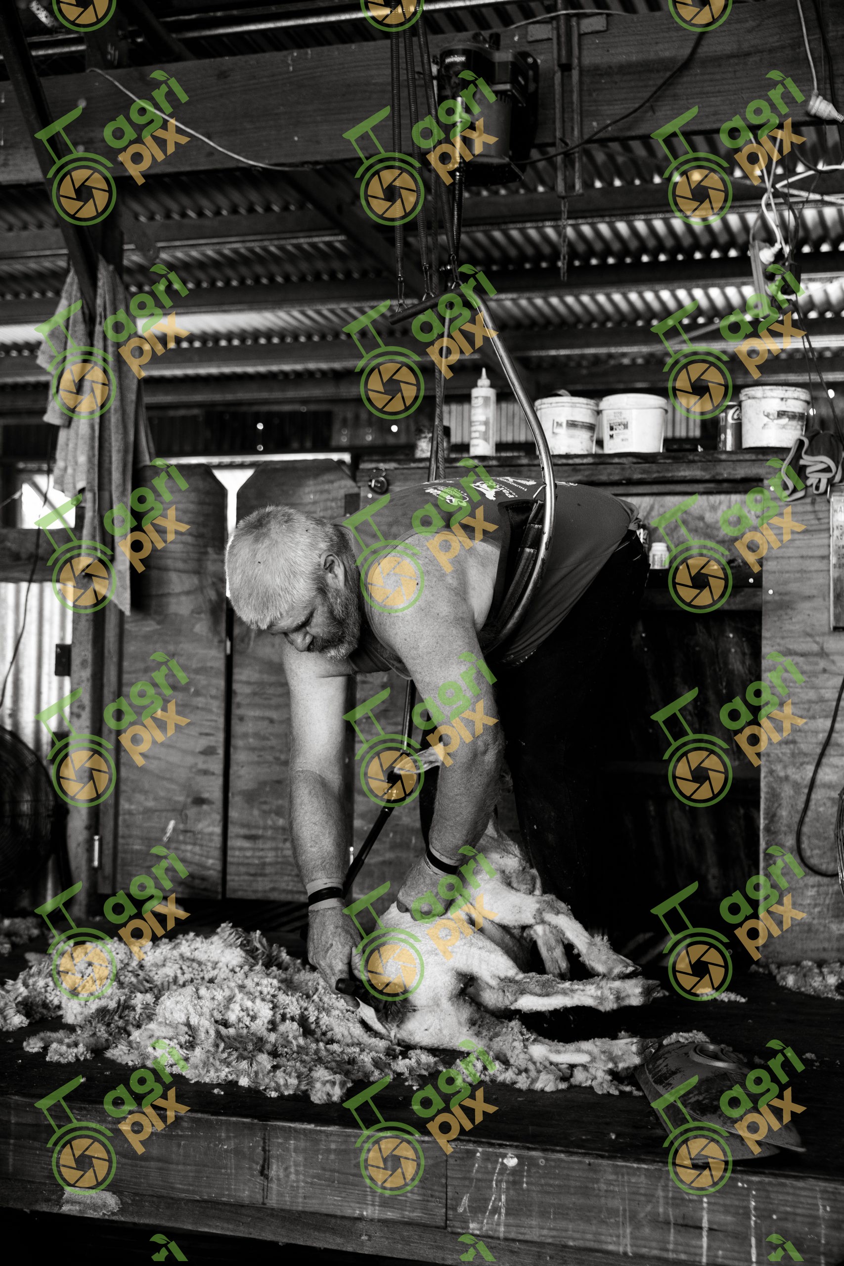 Mt Beagle Shearing Shed