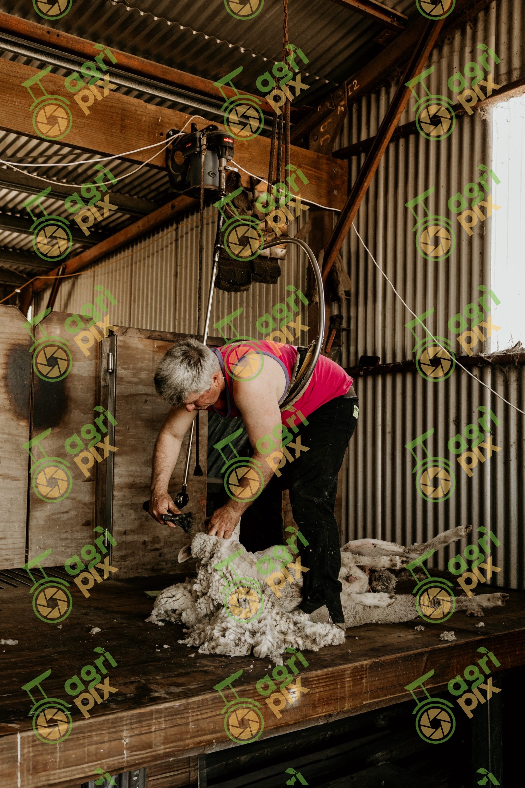 Mt Beagle Shearing Shed