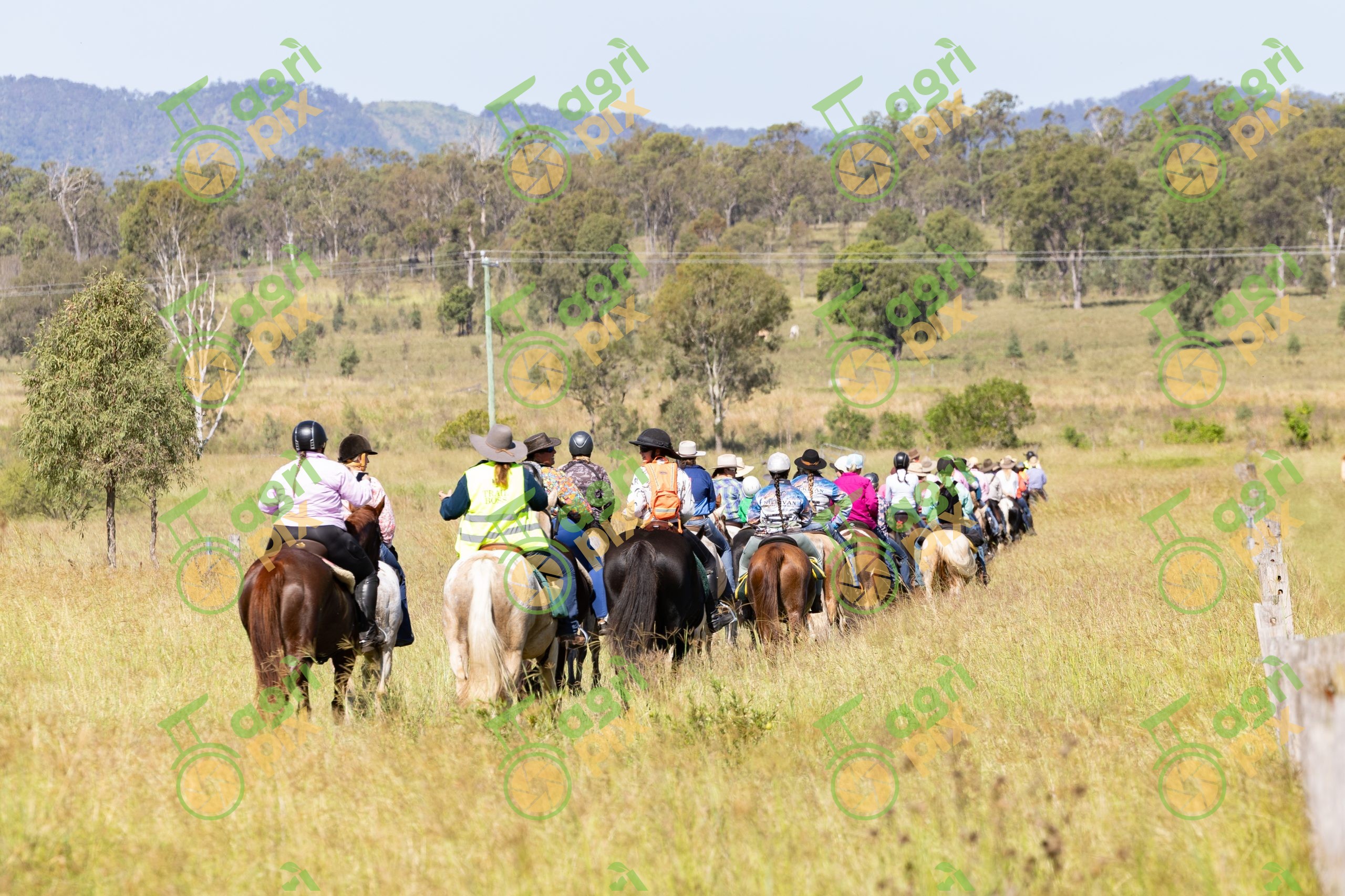 Horse Riders on the Kilkivan Great Horse Ride Trail, Queensland