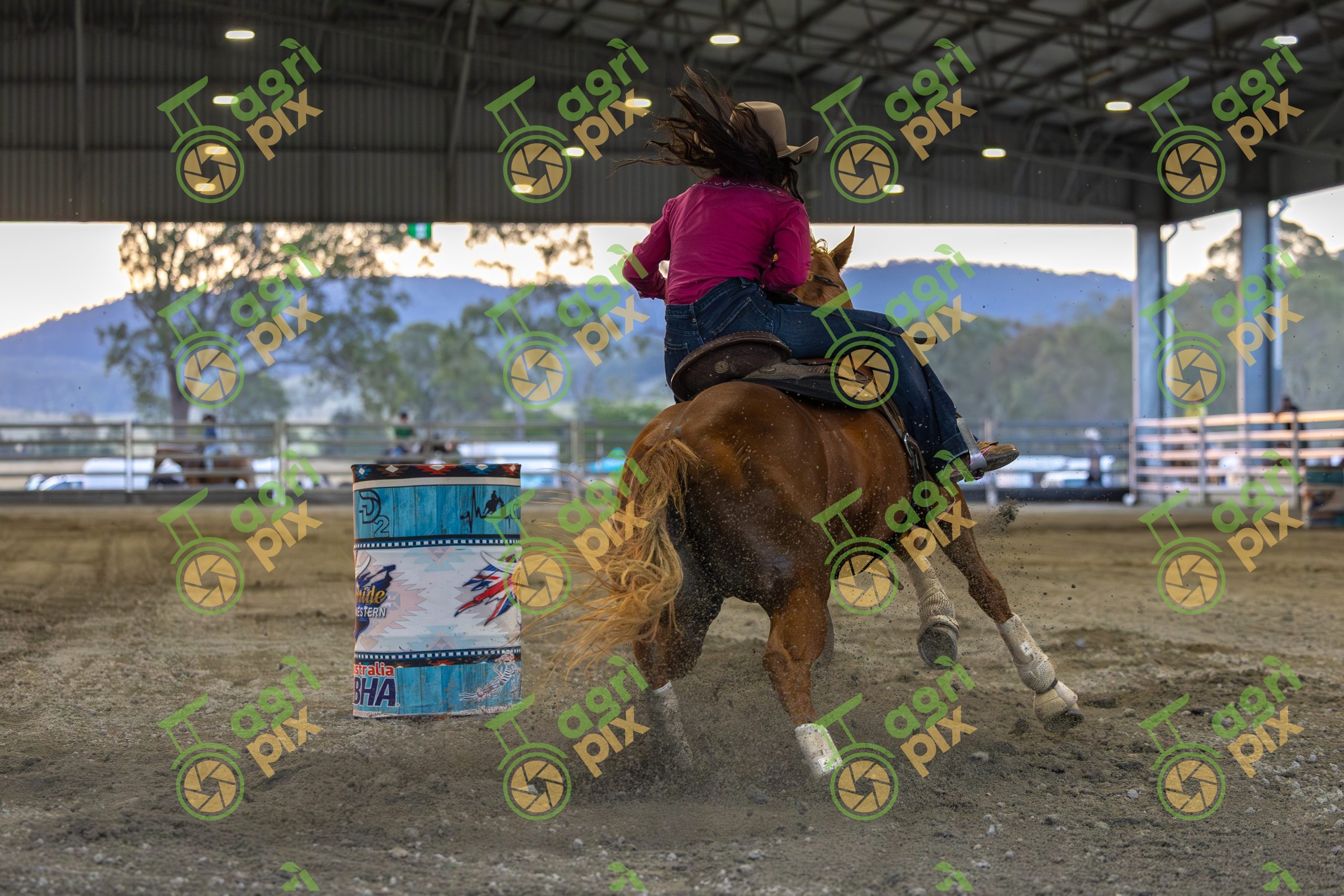 Campdraft Rider Turning at Speed During Competition at Kilkivan, Queensland