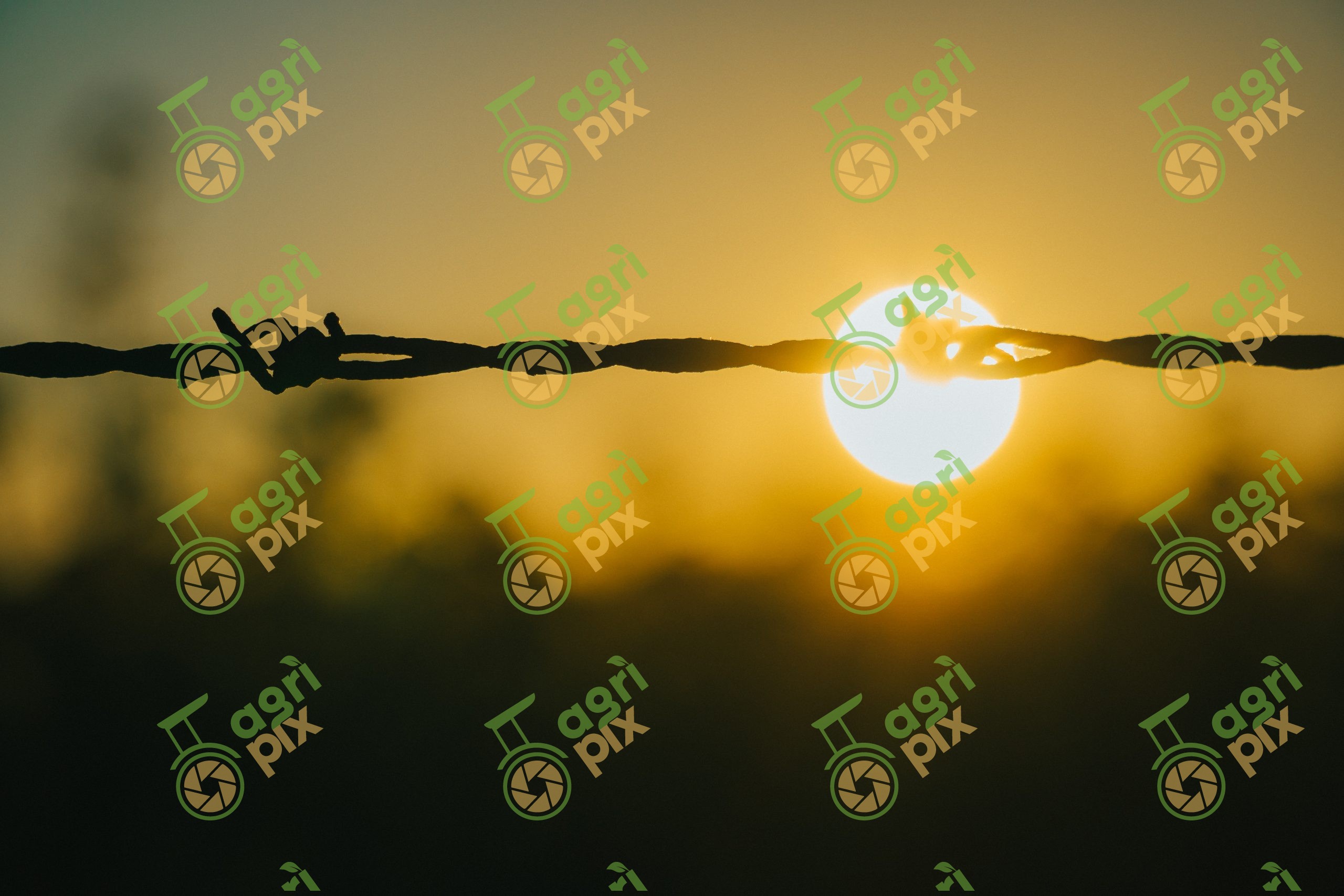 Traditional Barbed Wire Silhouetted at Sunset in South Australia’s Lower Mid-North