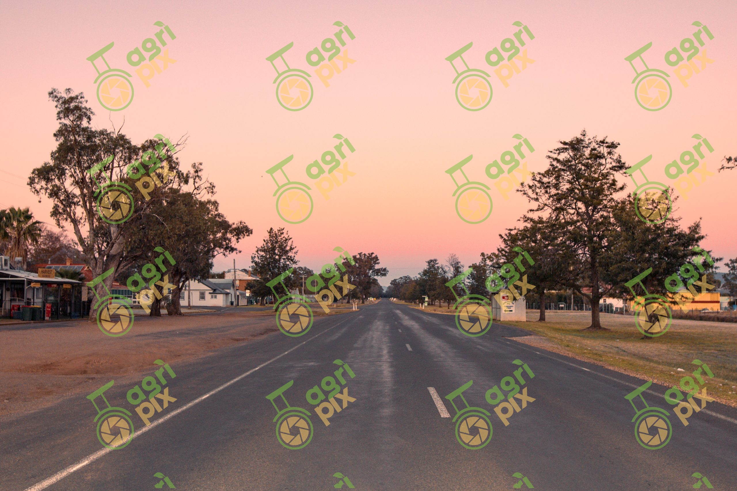 Rural Road at Sunset in the Liverpool Plains, NSW