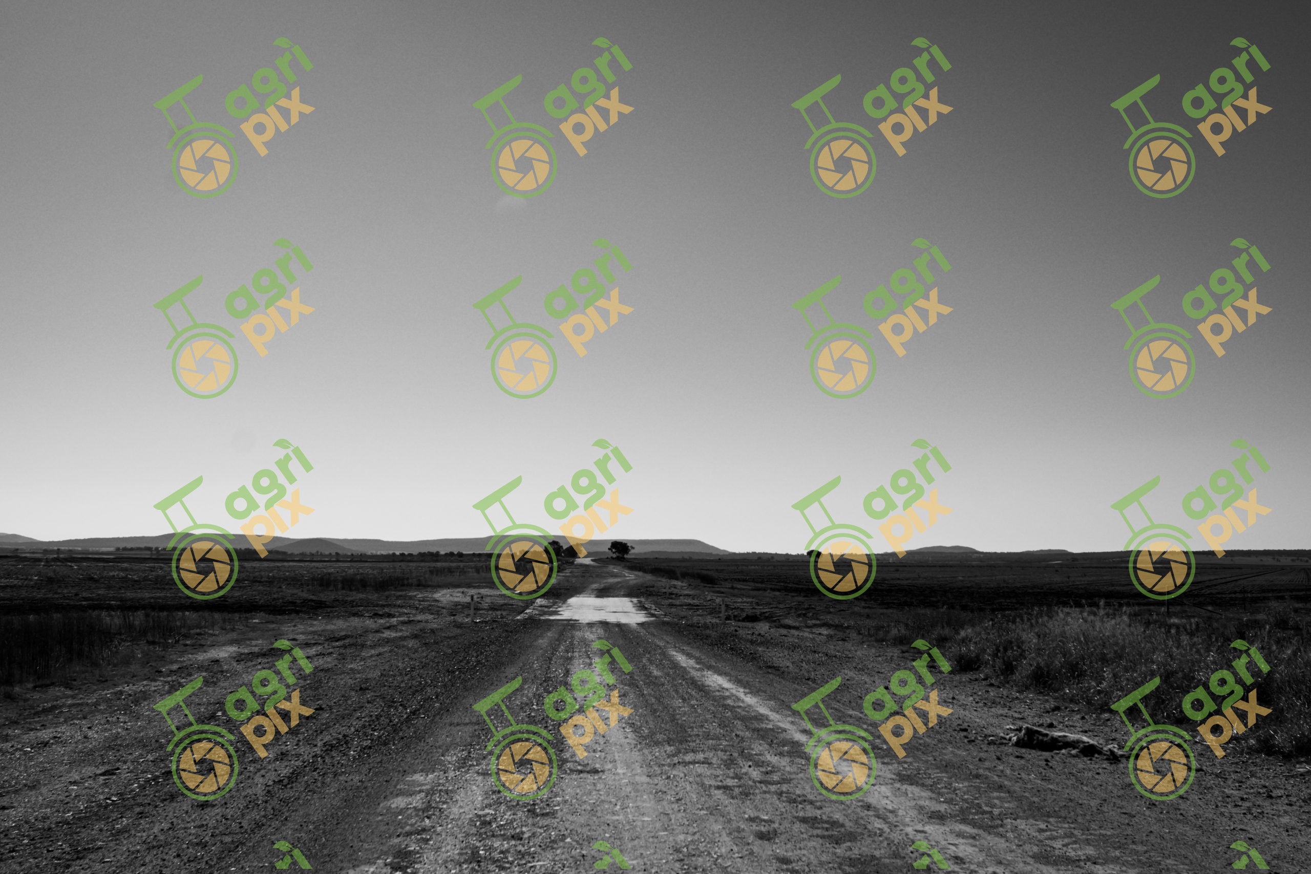 Black and White Rural Road in the Liverpool Plains, NSW