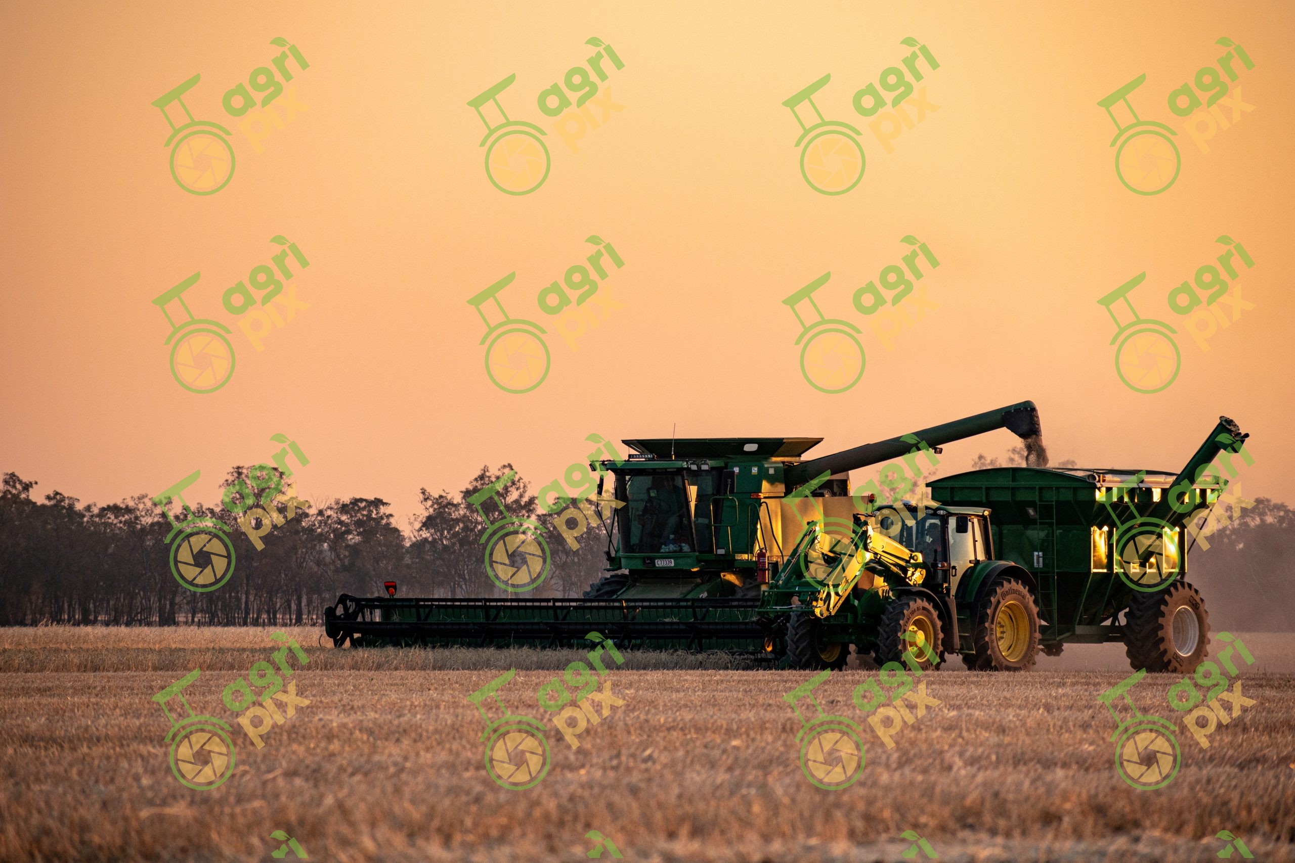 Combine Harvester Filling Chaser Bin During Wheat Harvest at Millmerran, Queensland