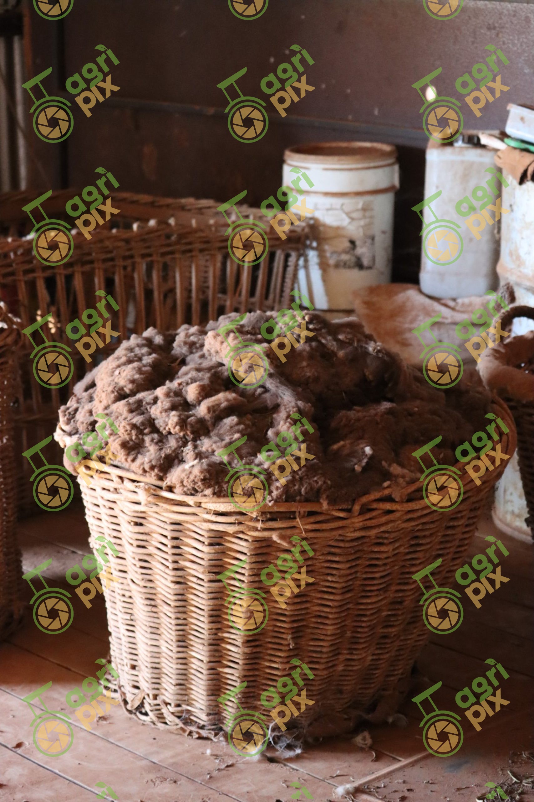Basket of Skirted Wool in Shearing Shed, Nyngan NSW