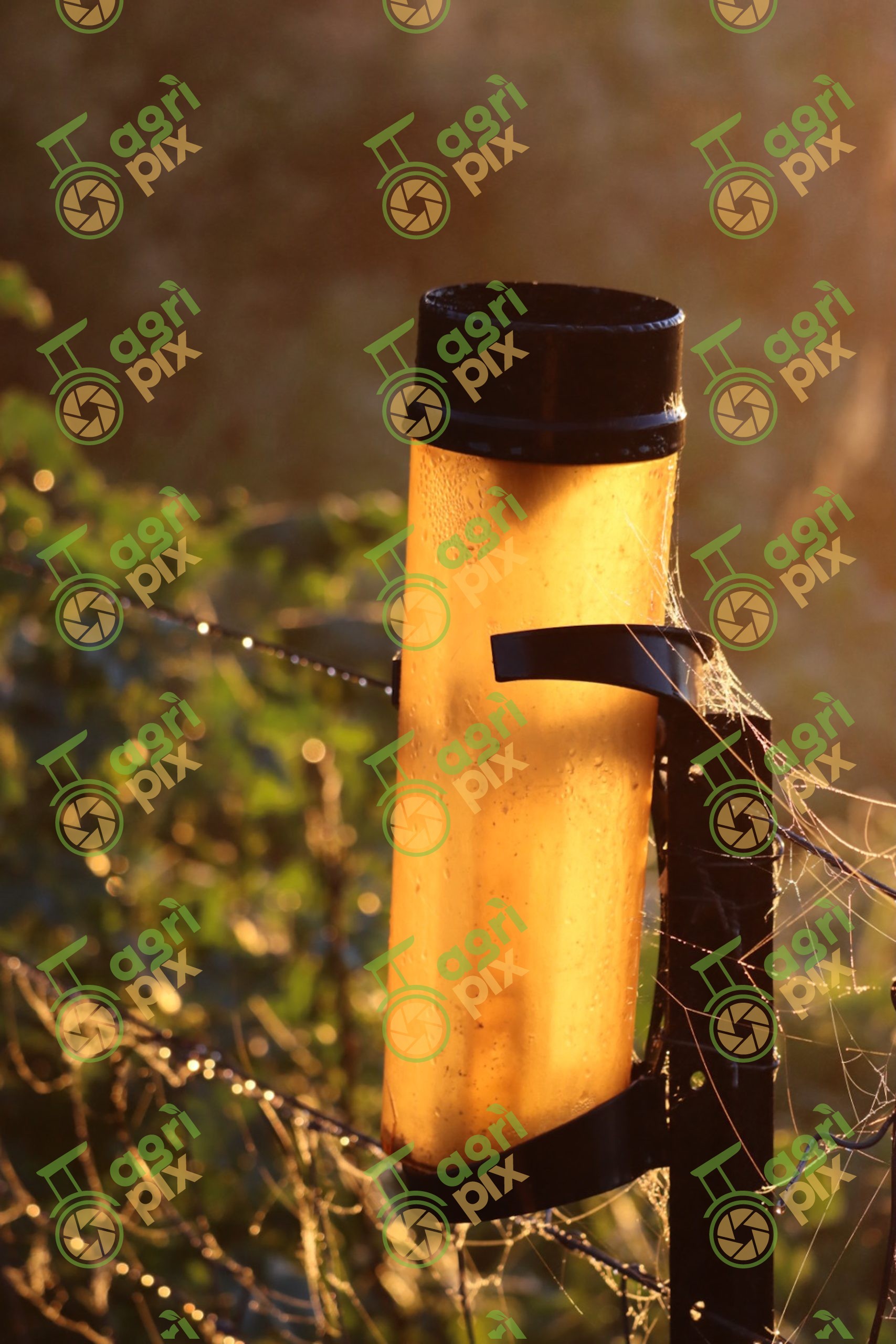 The Faithful Rain Gauge After Recent Rain near Nyngan NSW